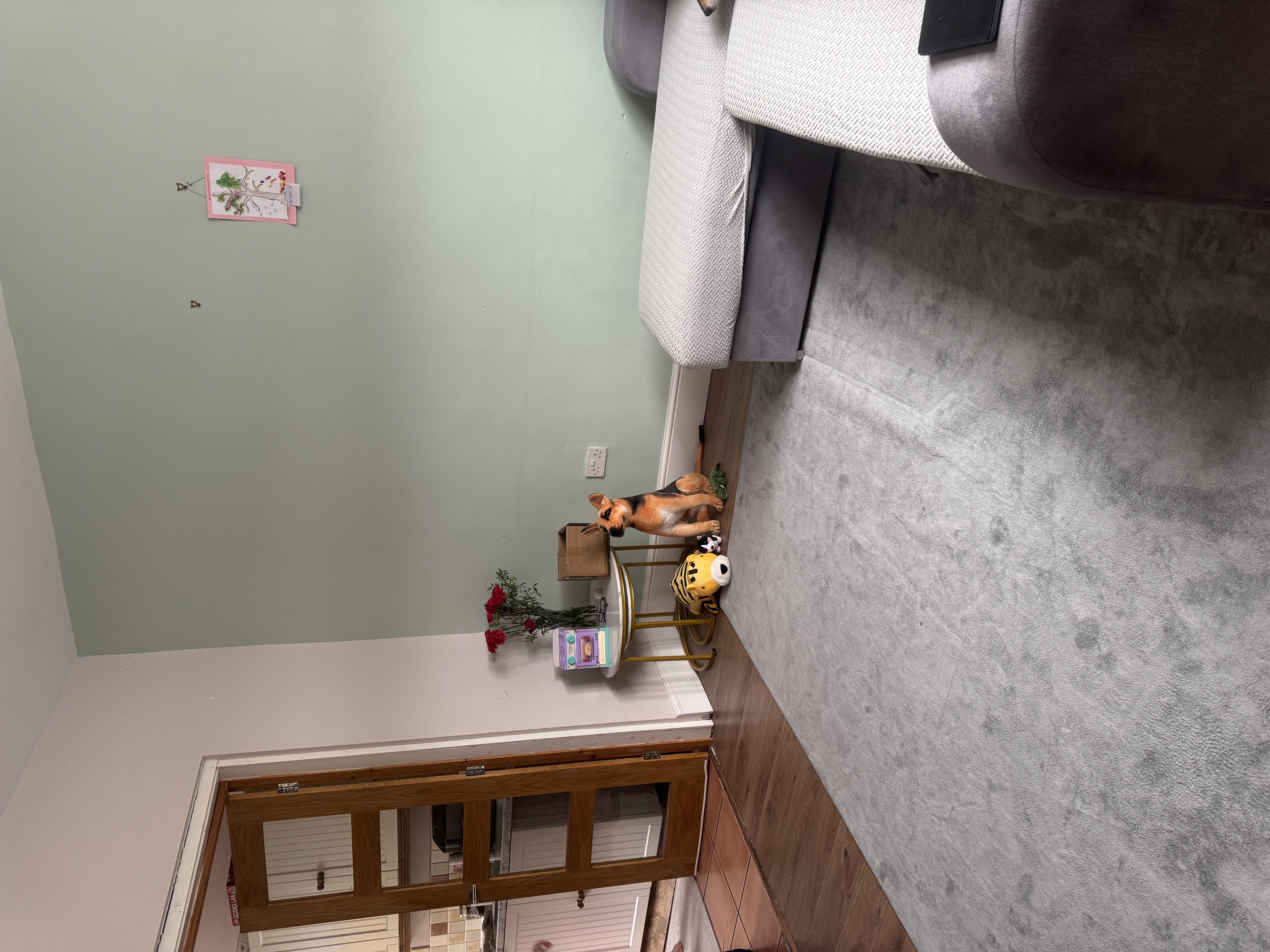 image-13