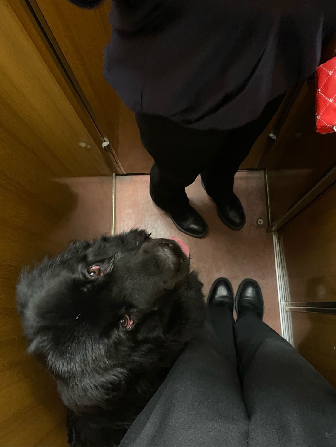 image-8
