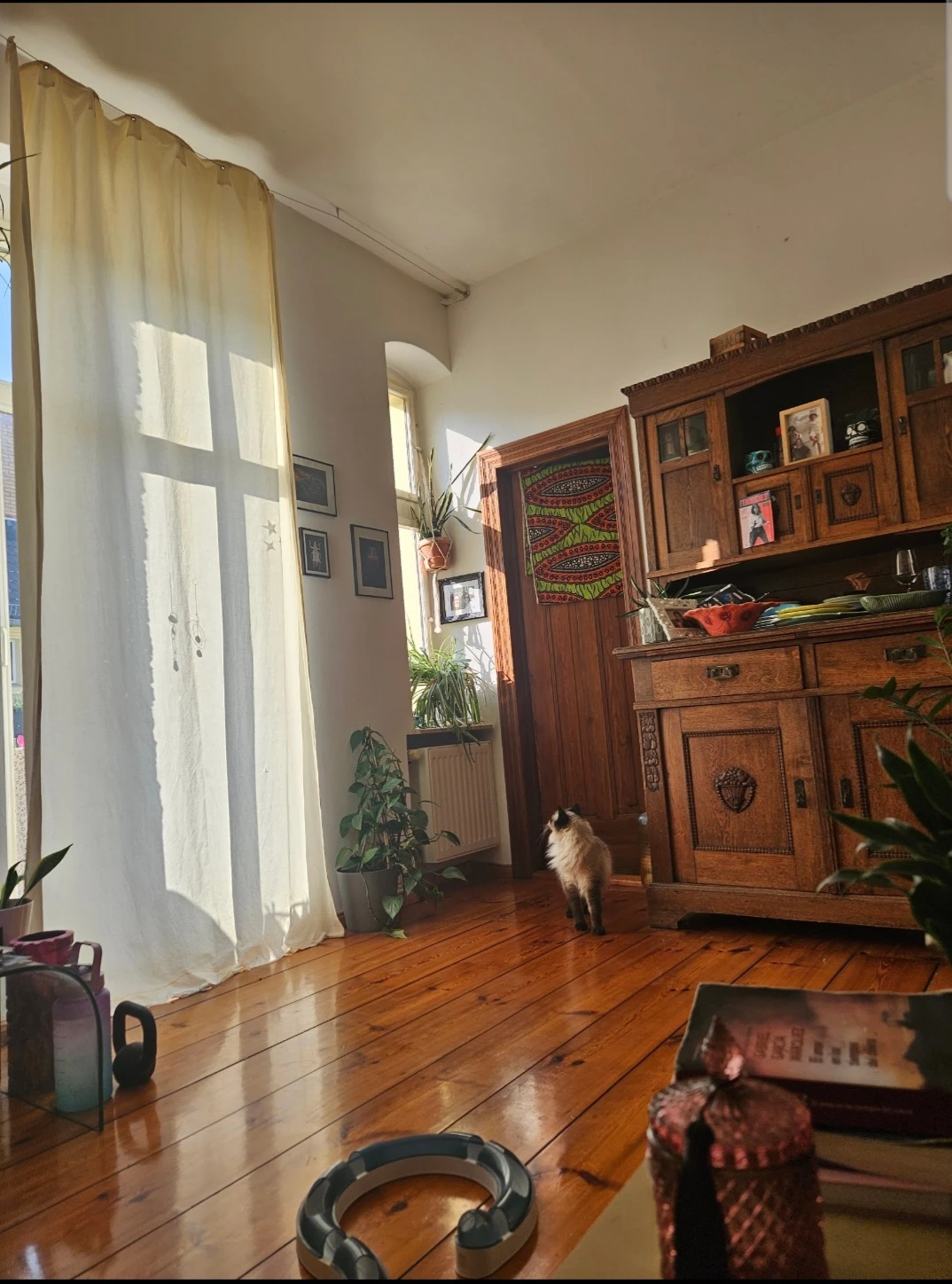 image-7