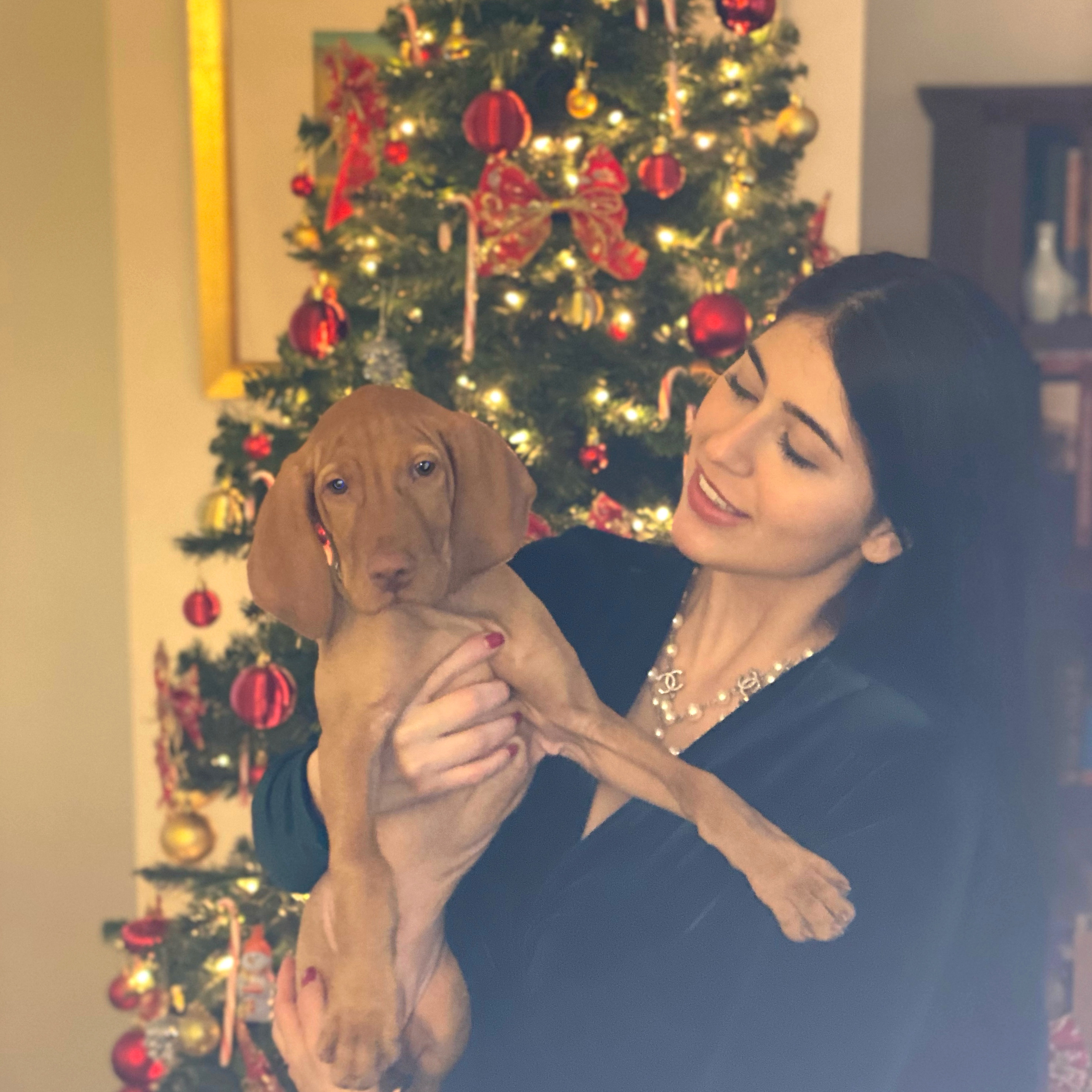 image-3