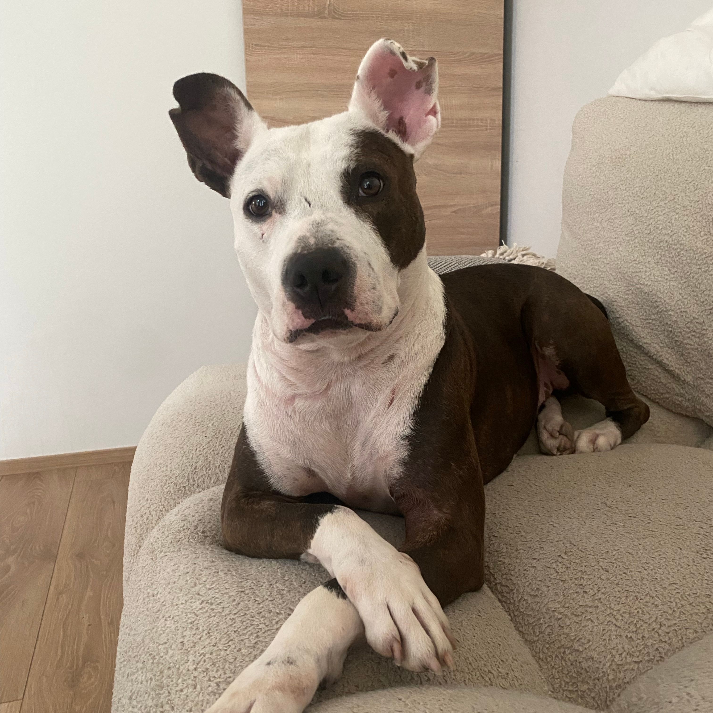 Odin