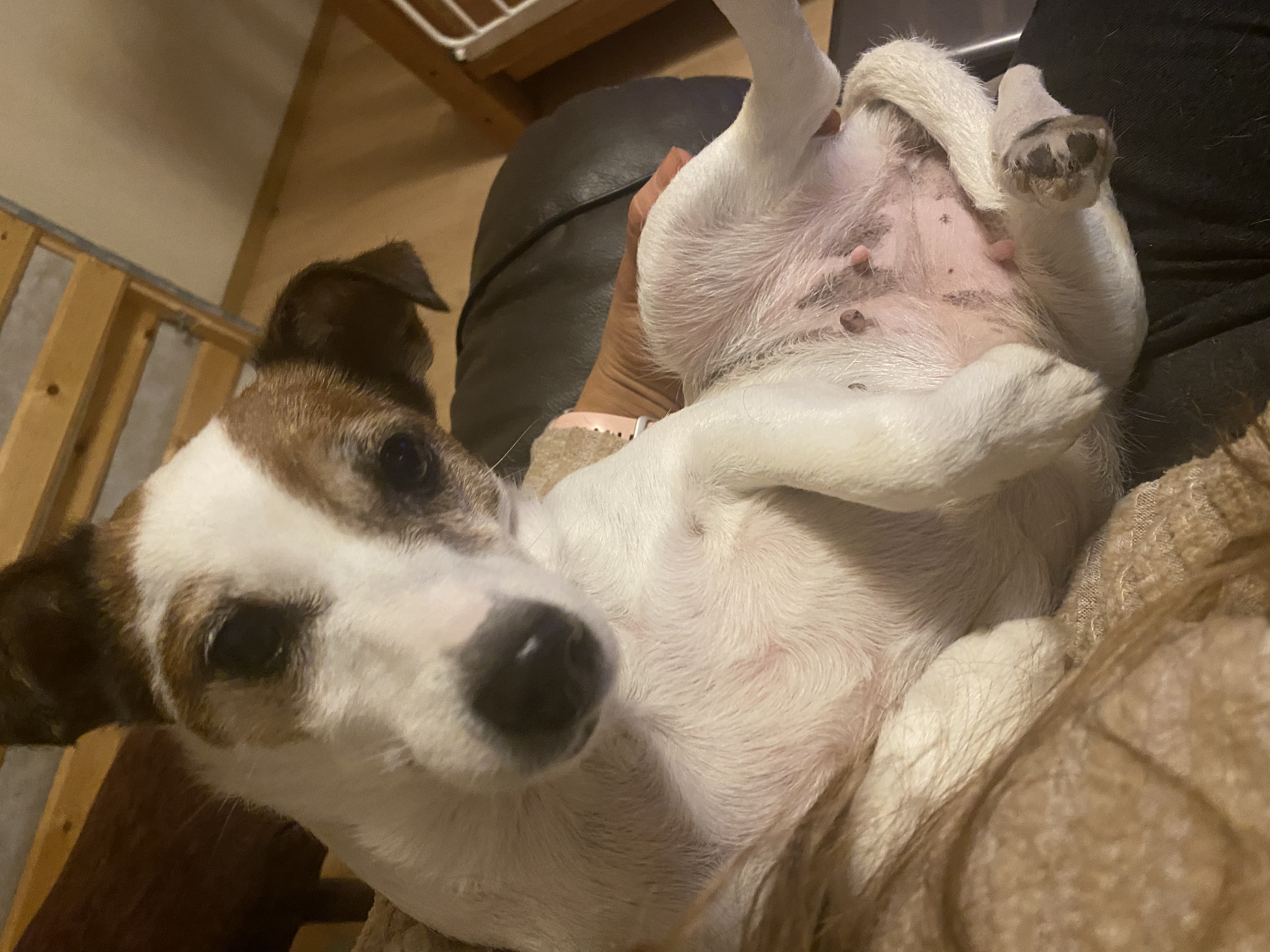 image-6