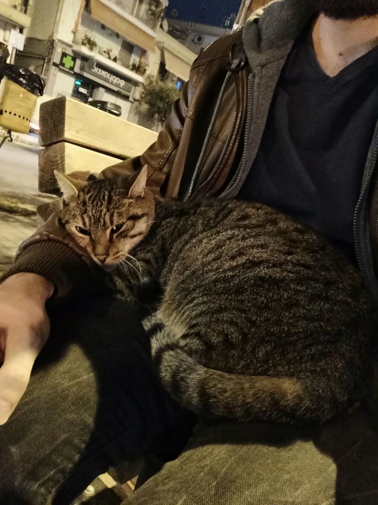 image-6