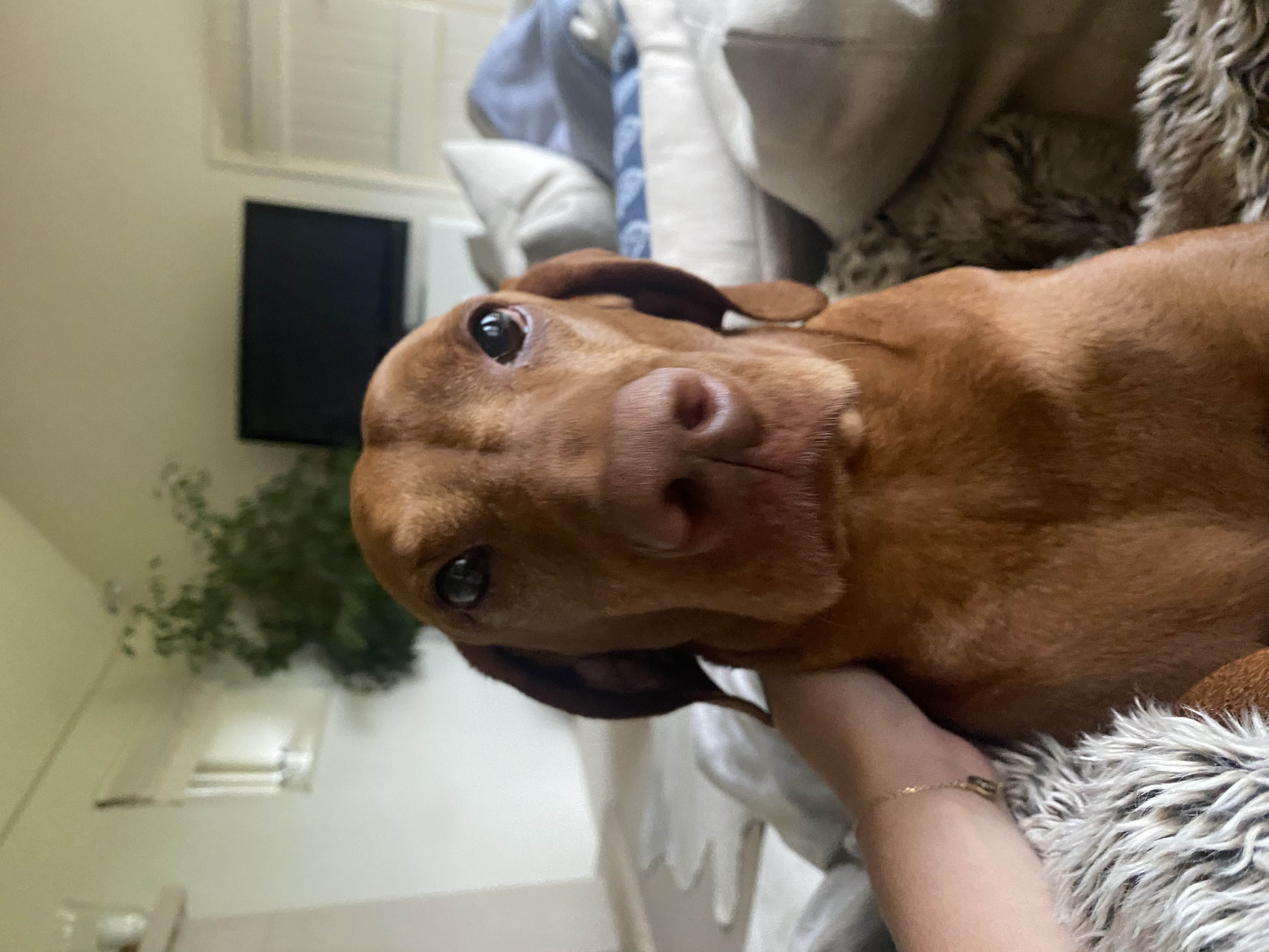 image-7