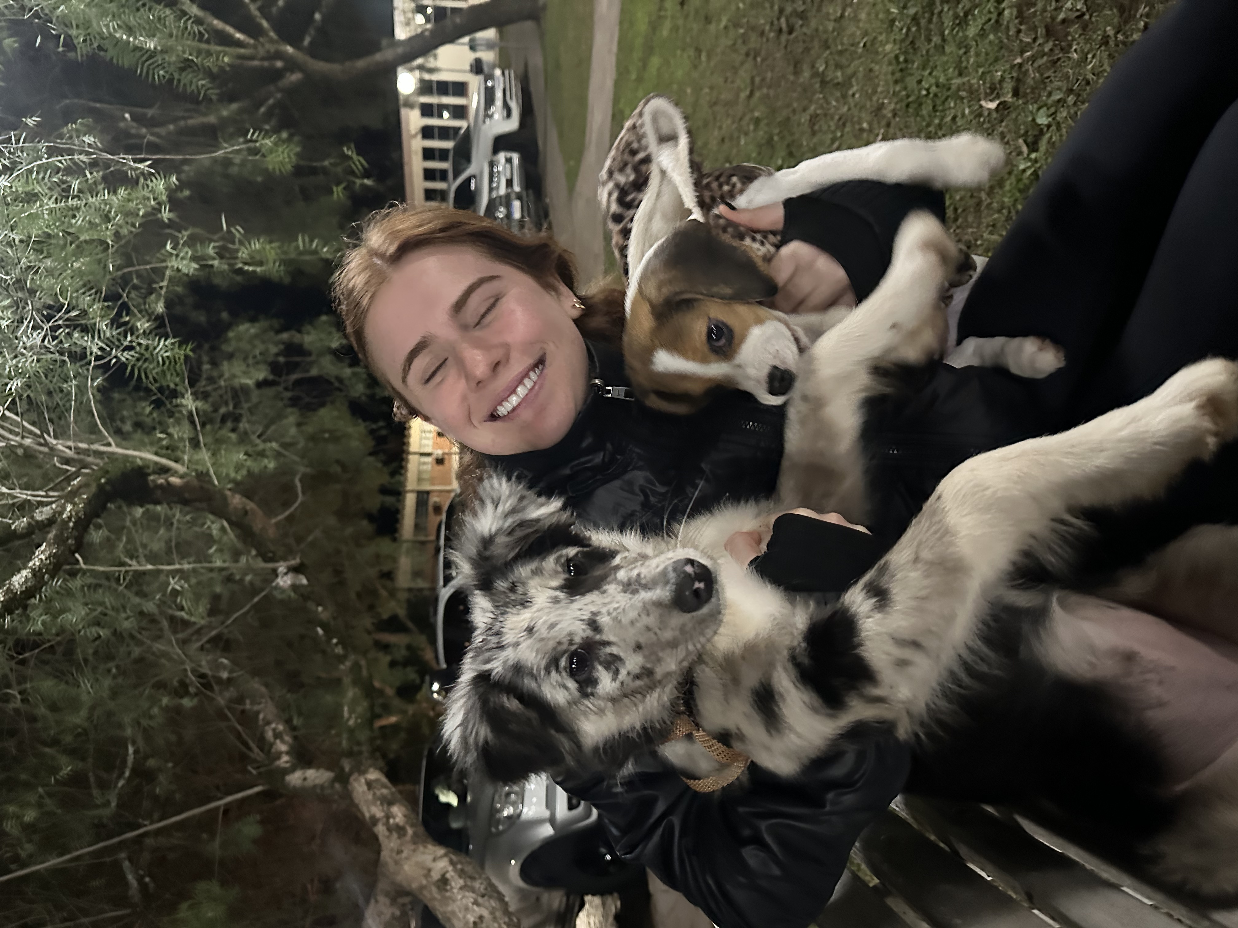 image-4