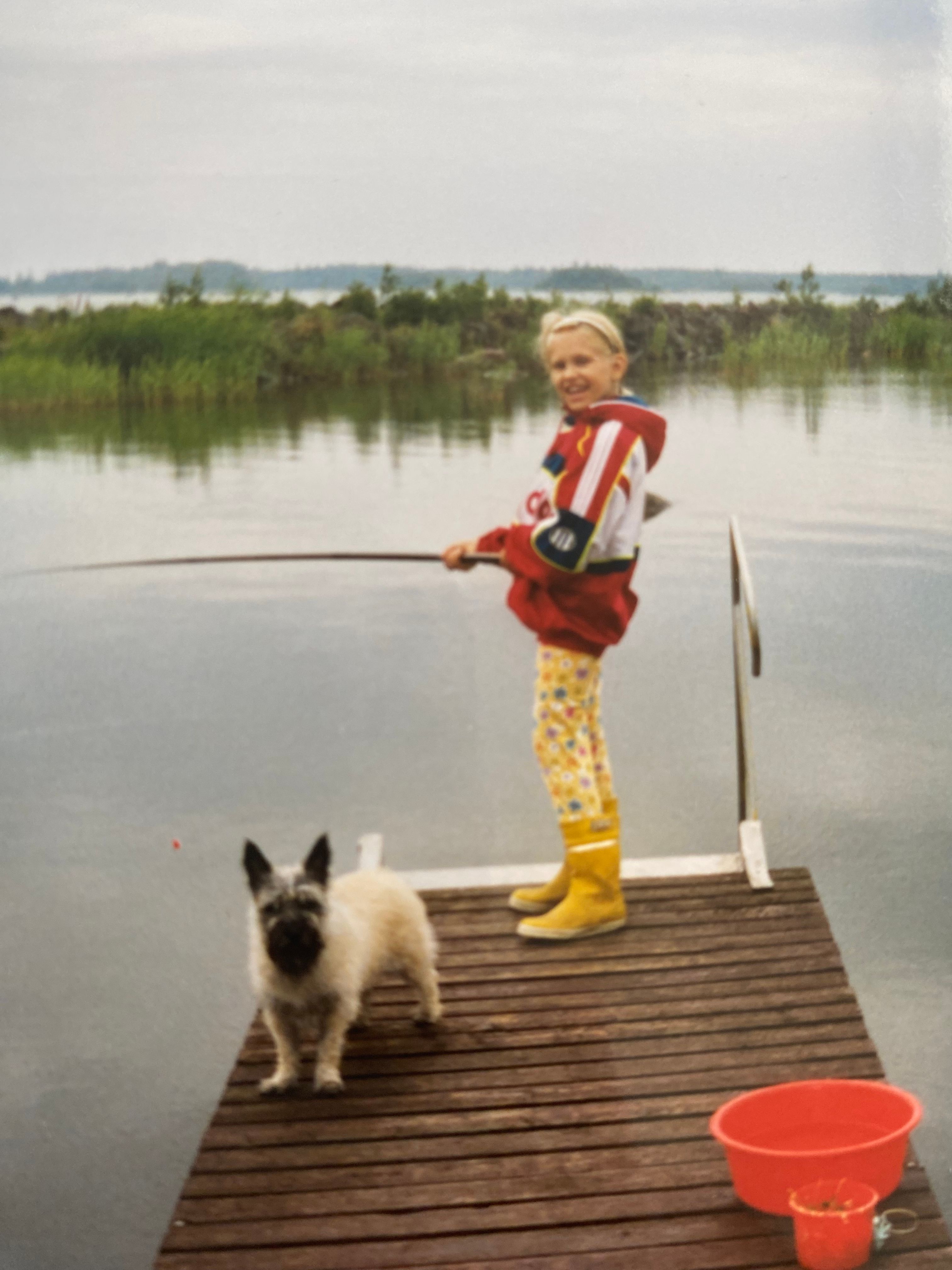 image-8
