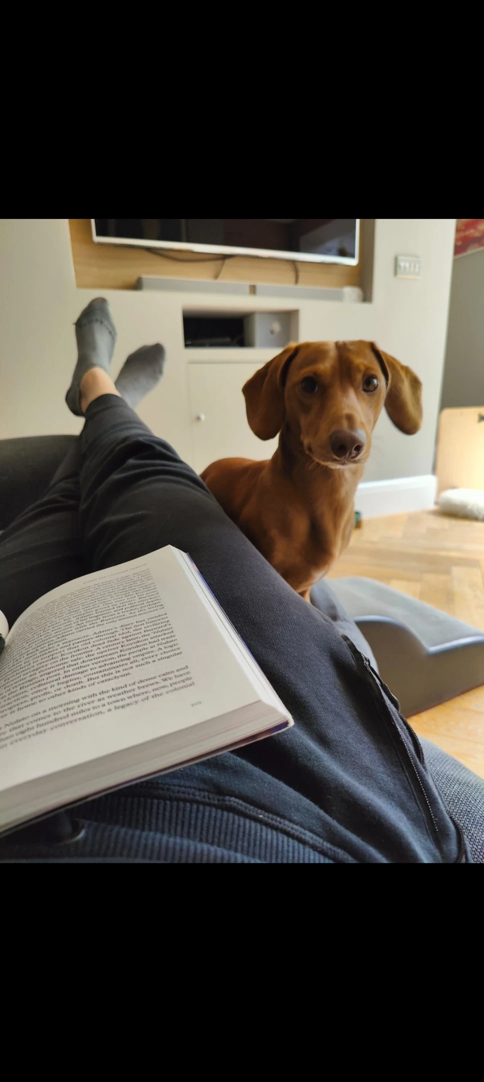 image-5