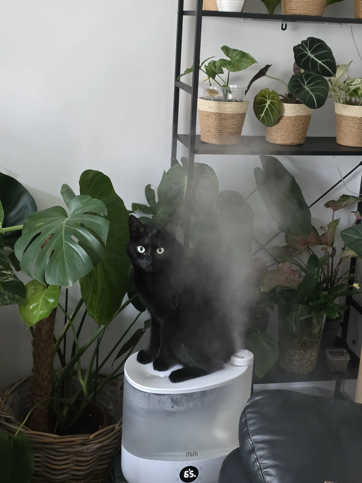 image-17