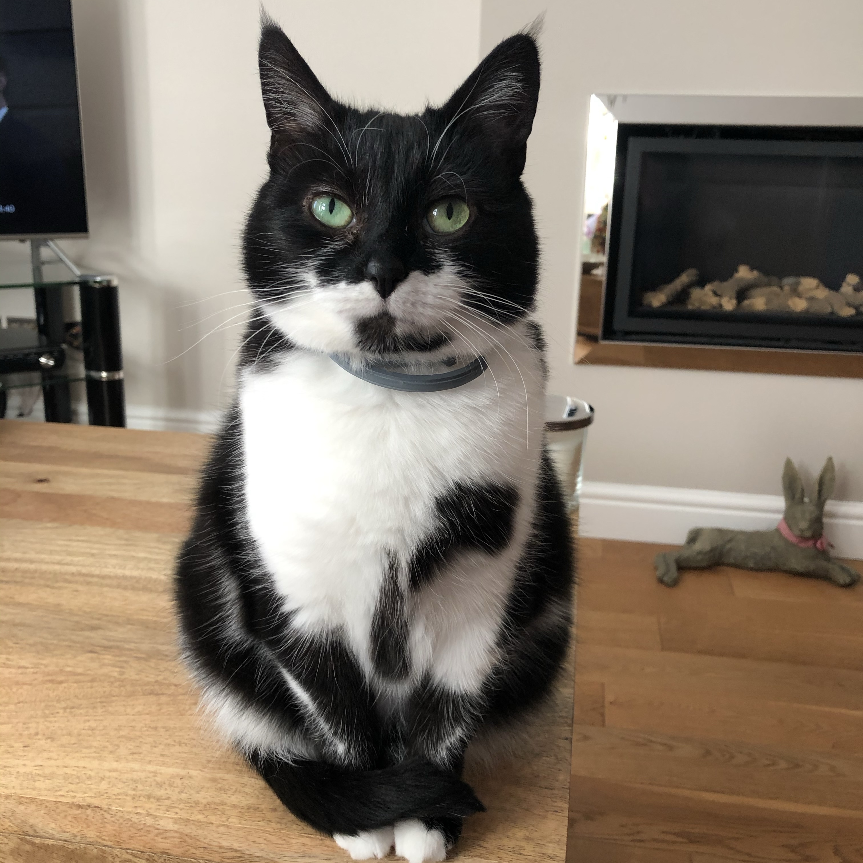 Suki