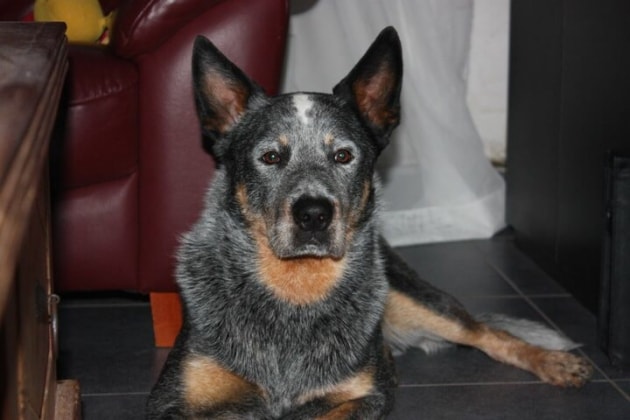 image-5