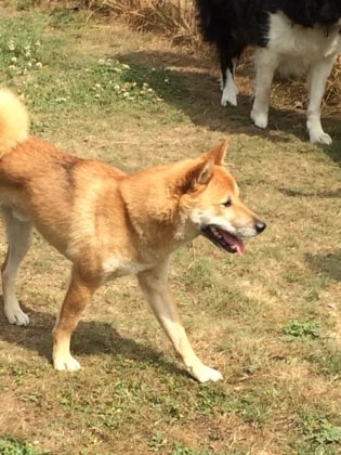 image-7
