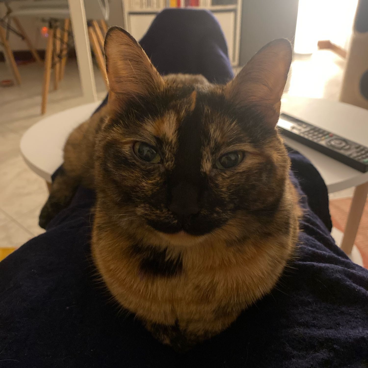 Kali