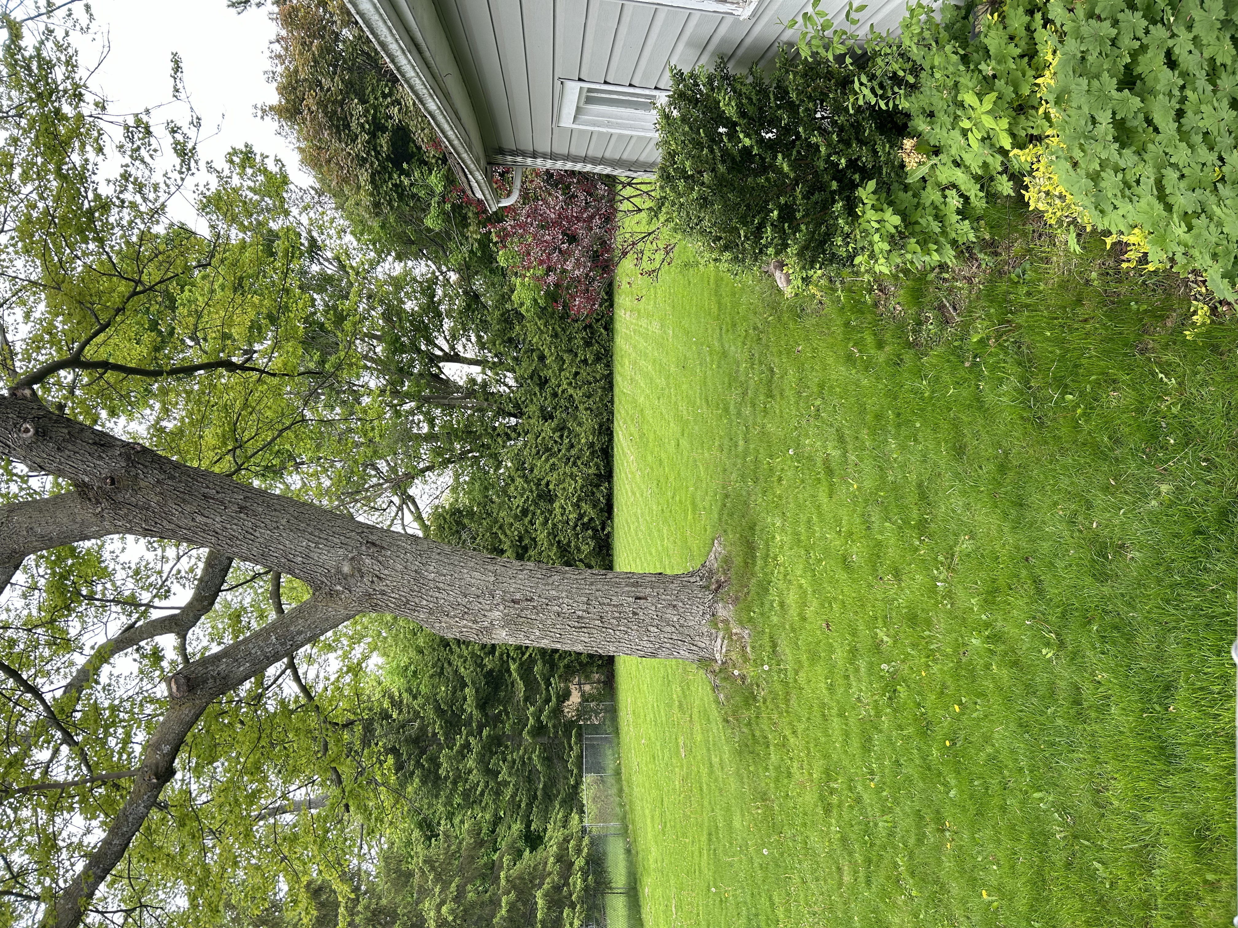 image-14