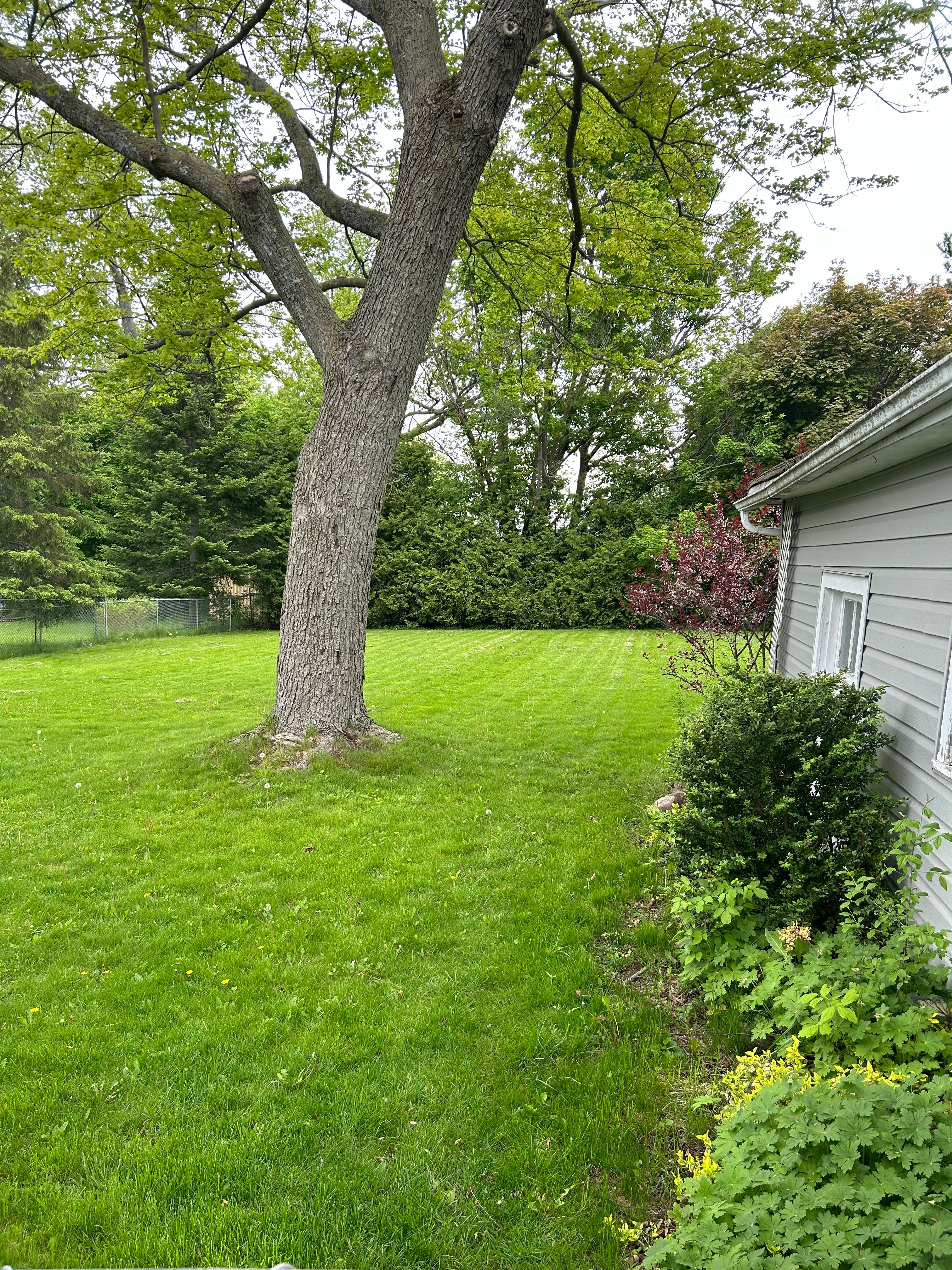image-14