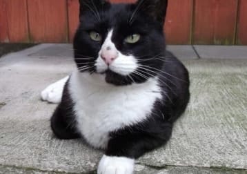 Tom