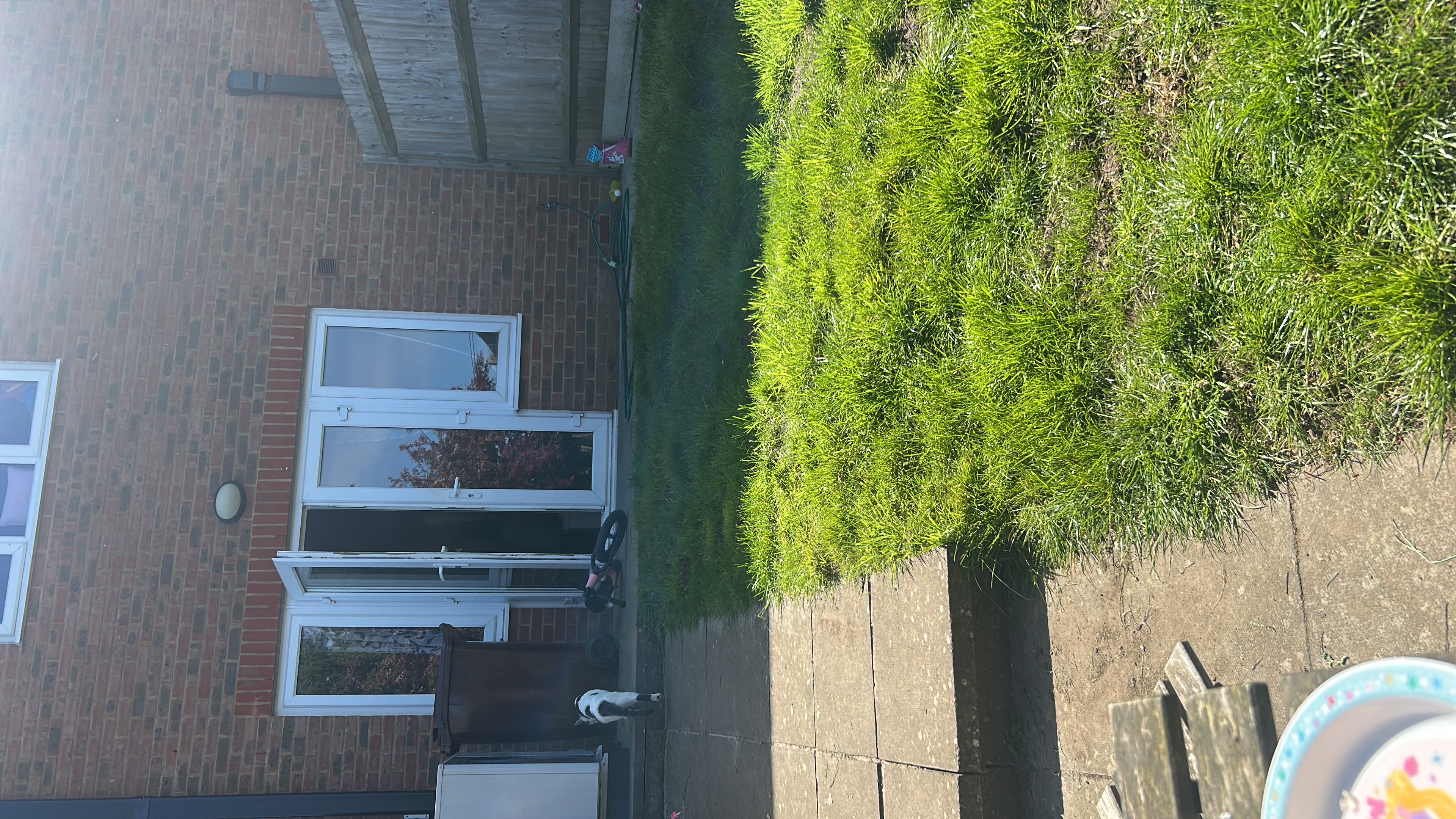 image-13