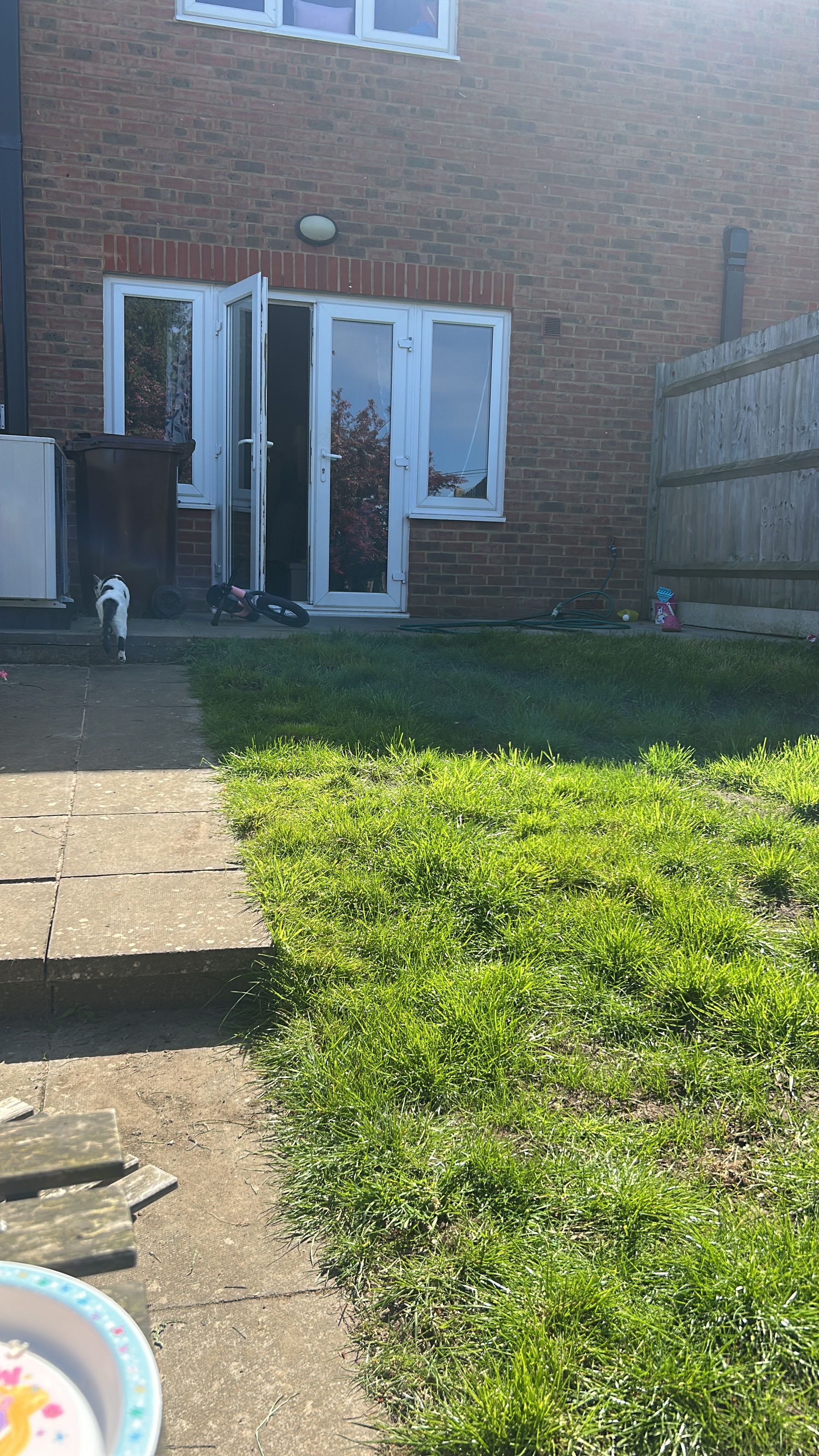 image-13