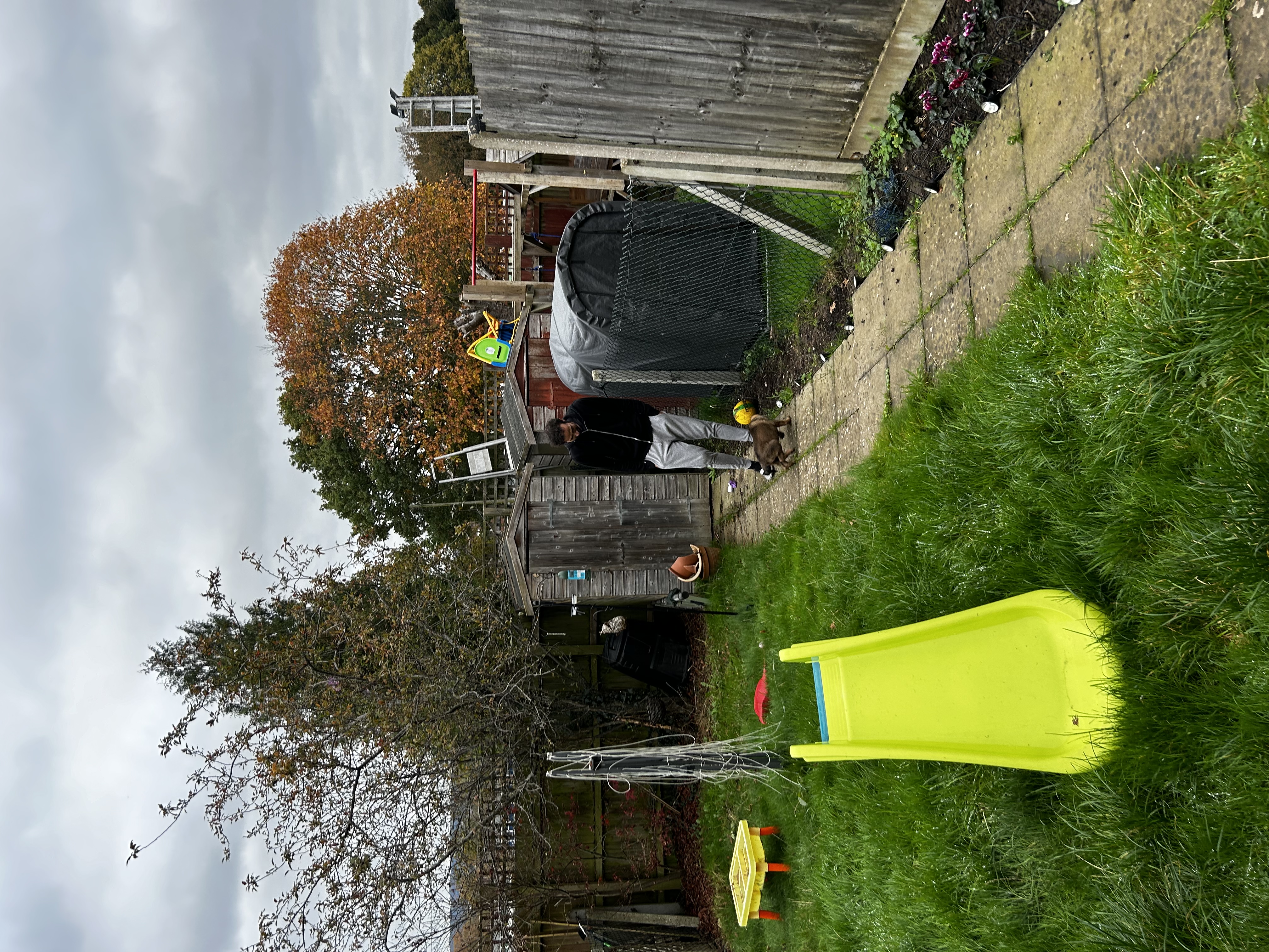 image-15