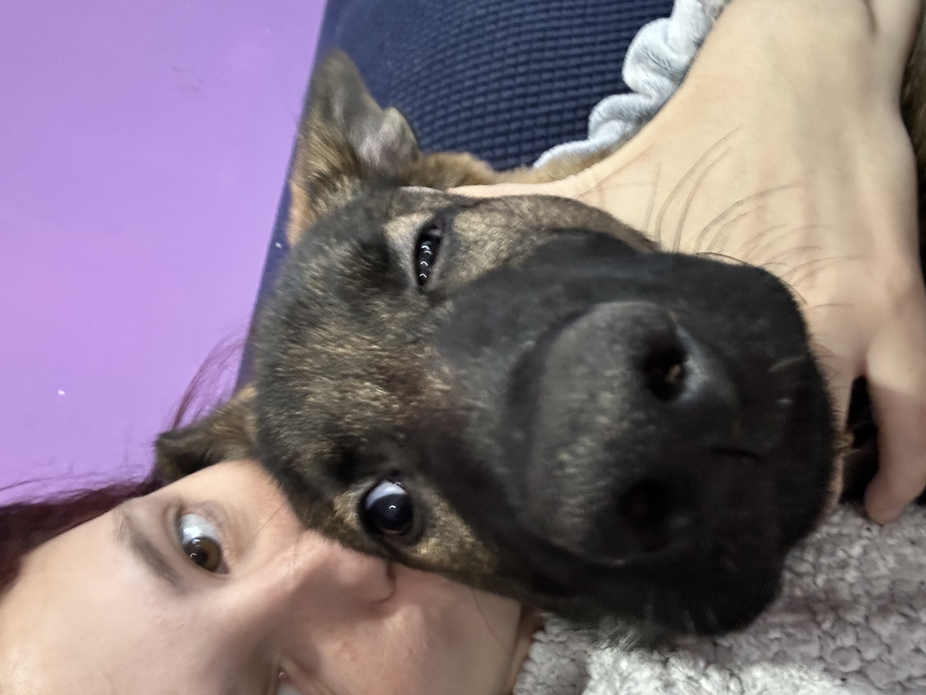 image-6