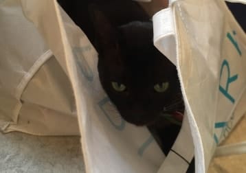Bella
