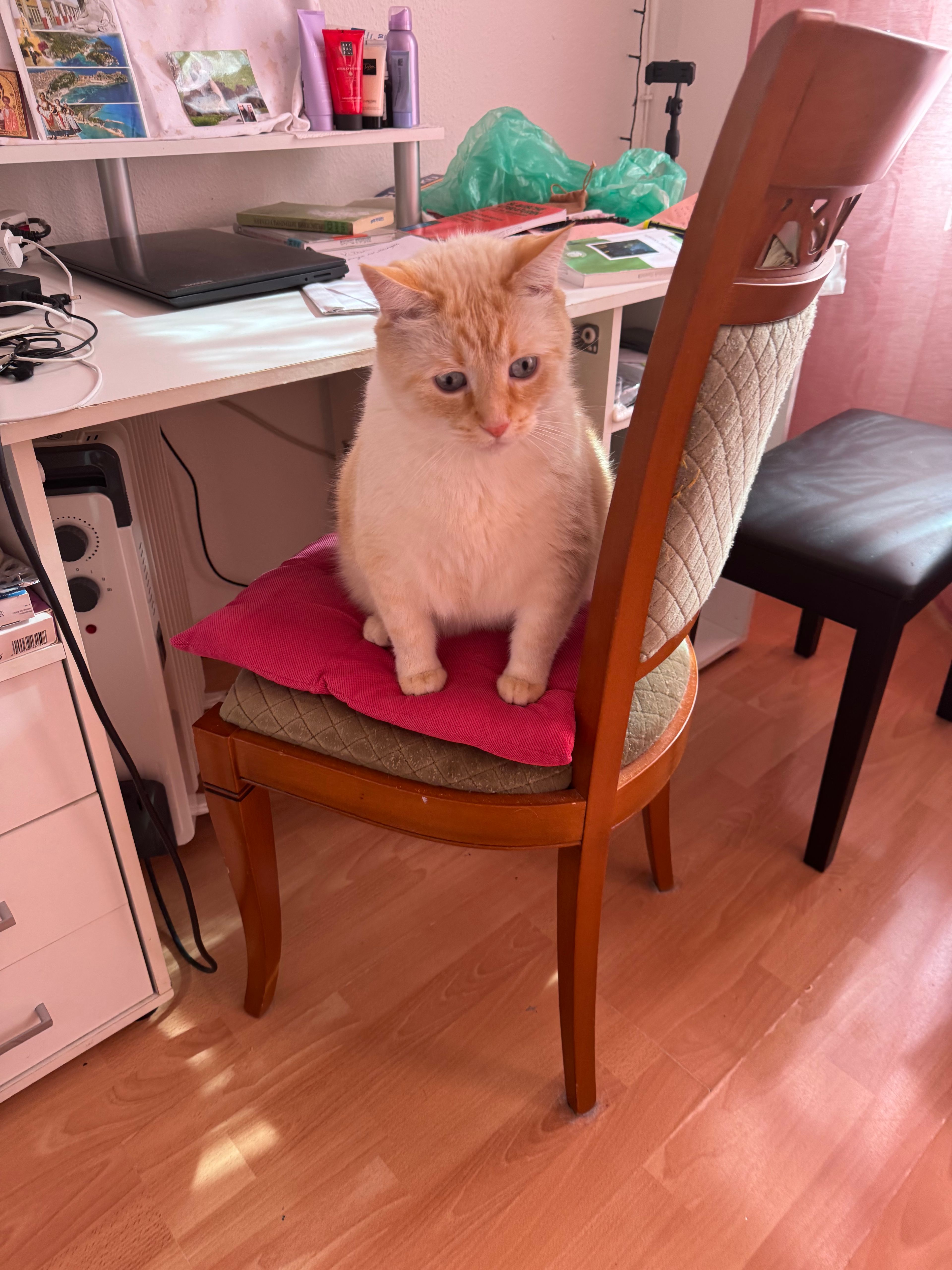 image-10