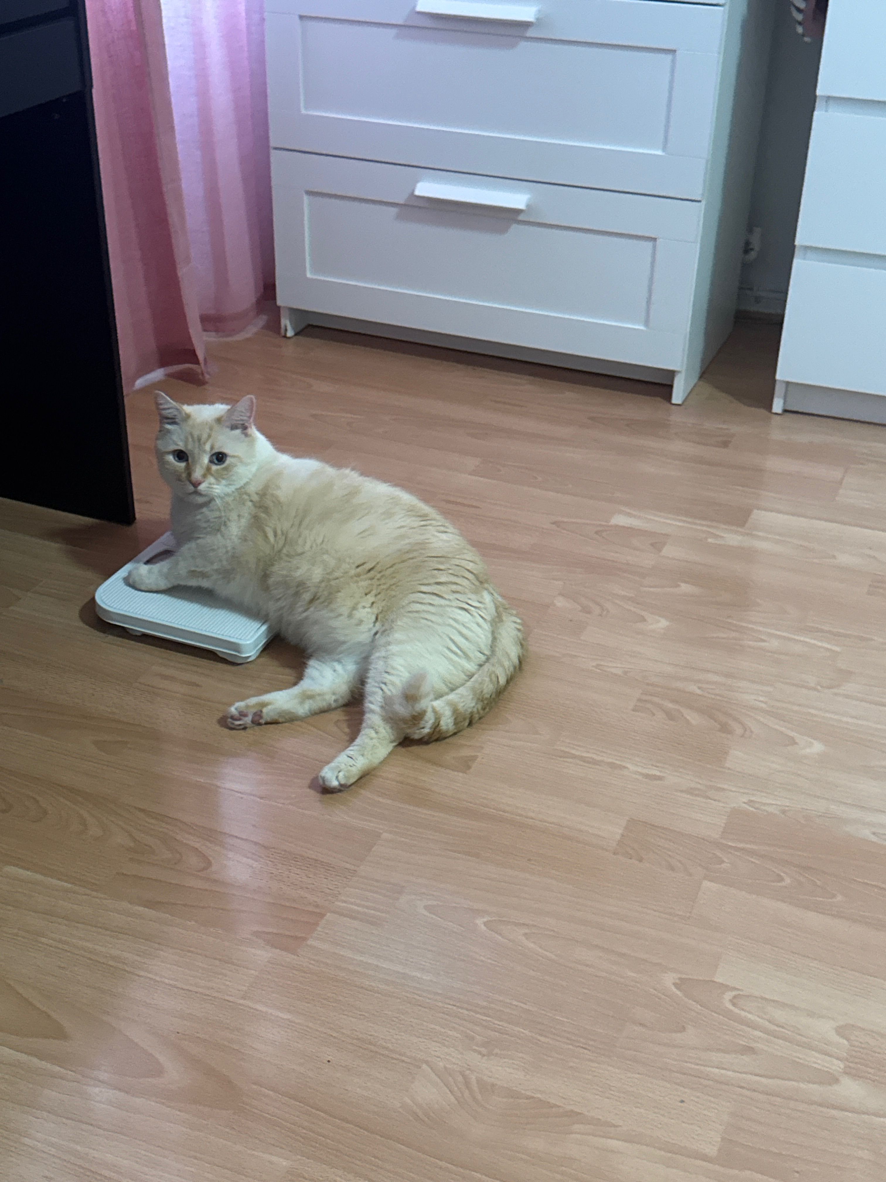 image-11