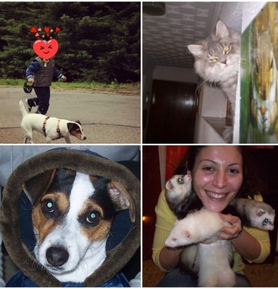 image-5