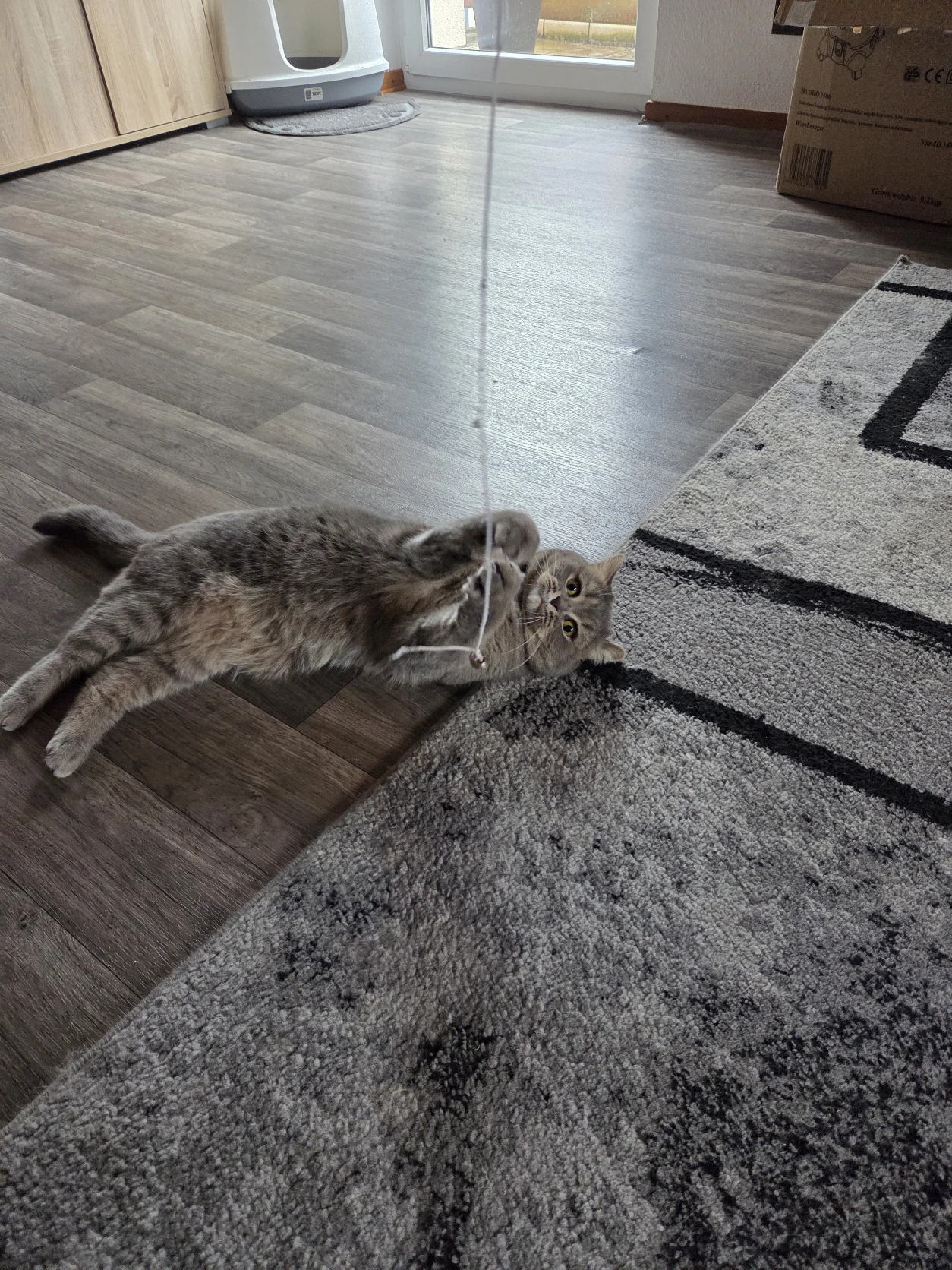 image-6