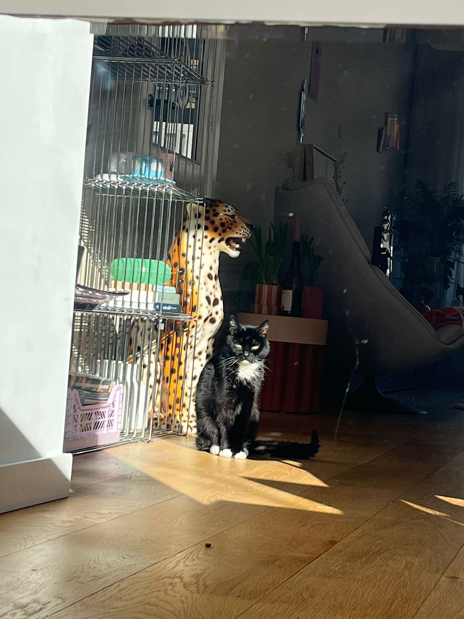 image-16