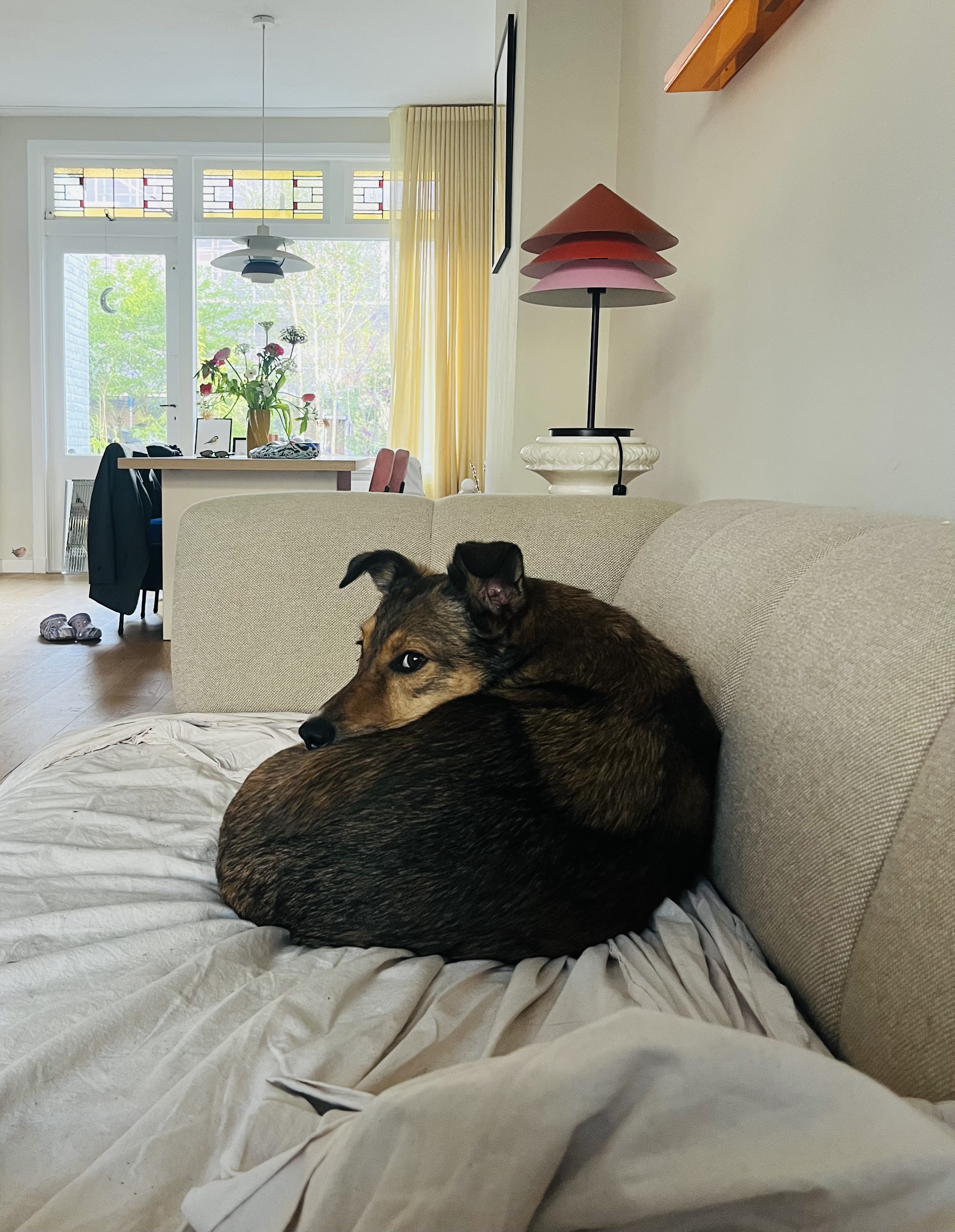 image-13