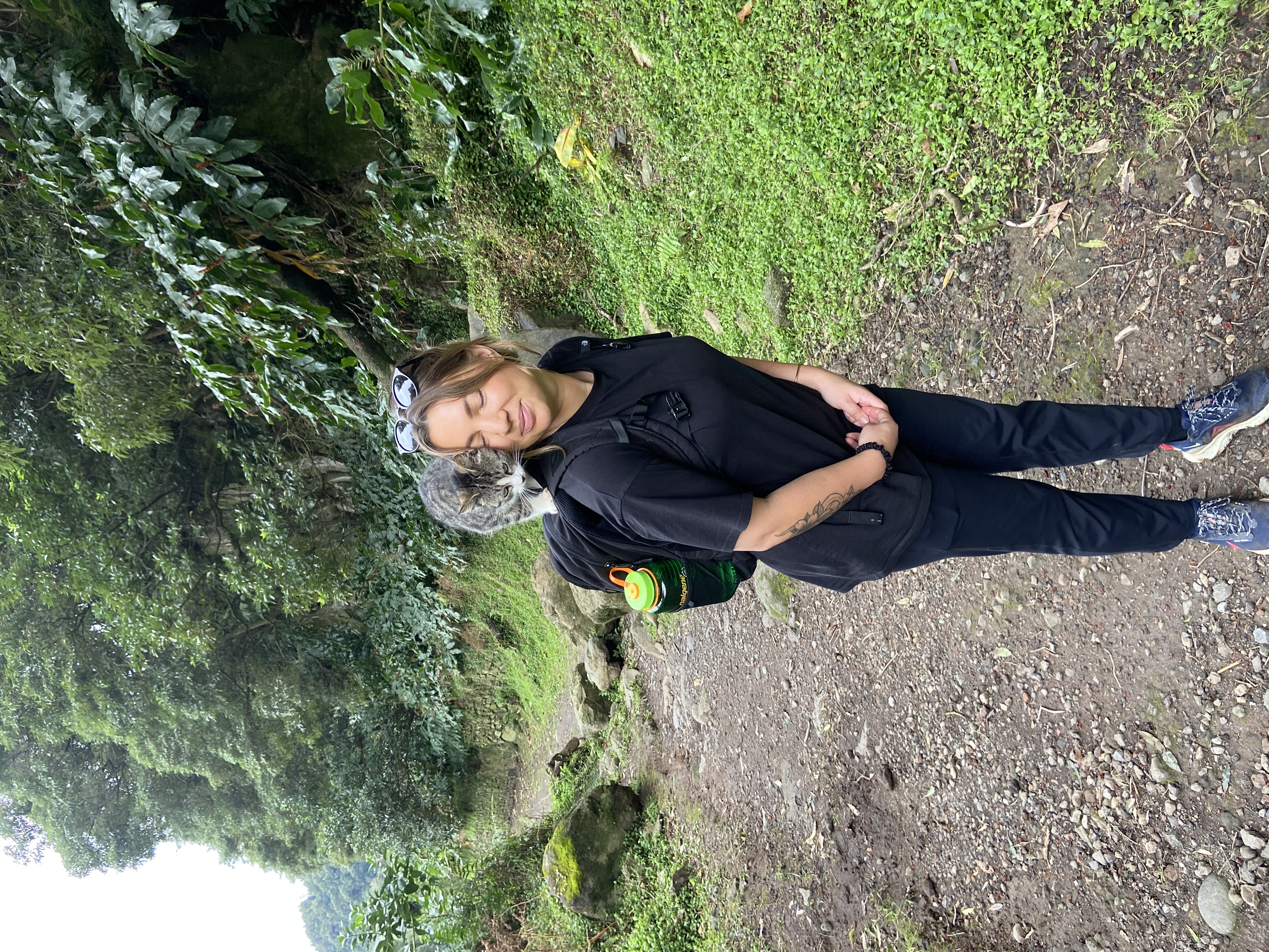image-11