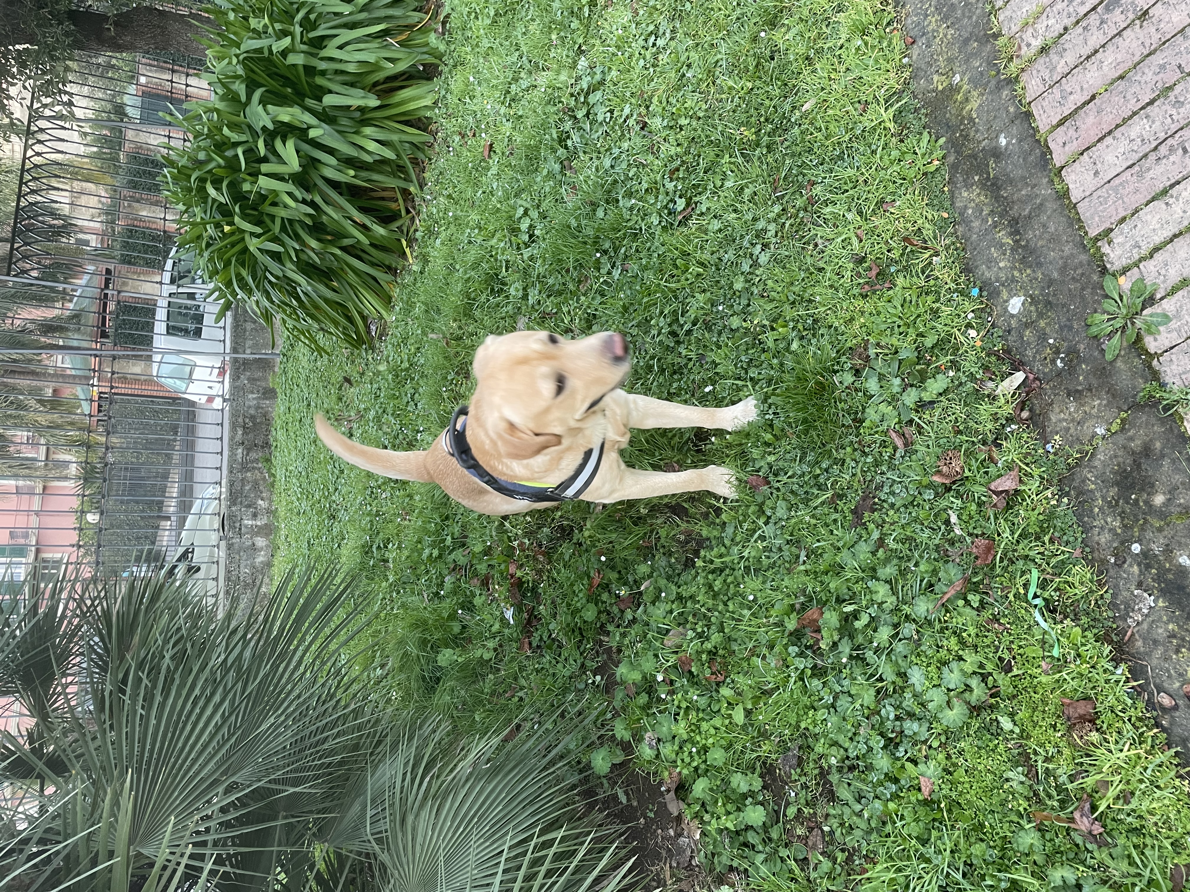 image-6