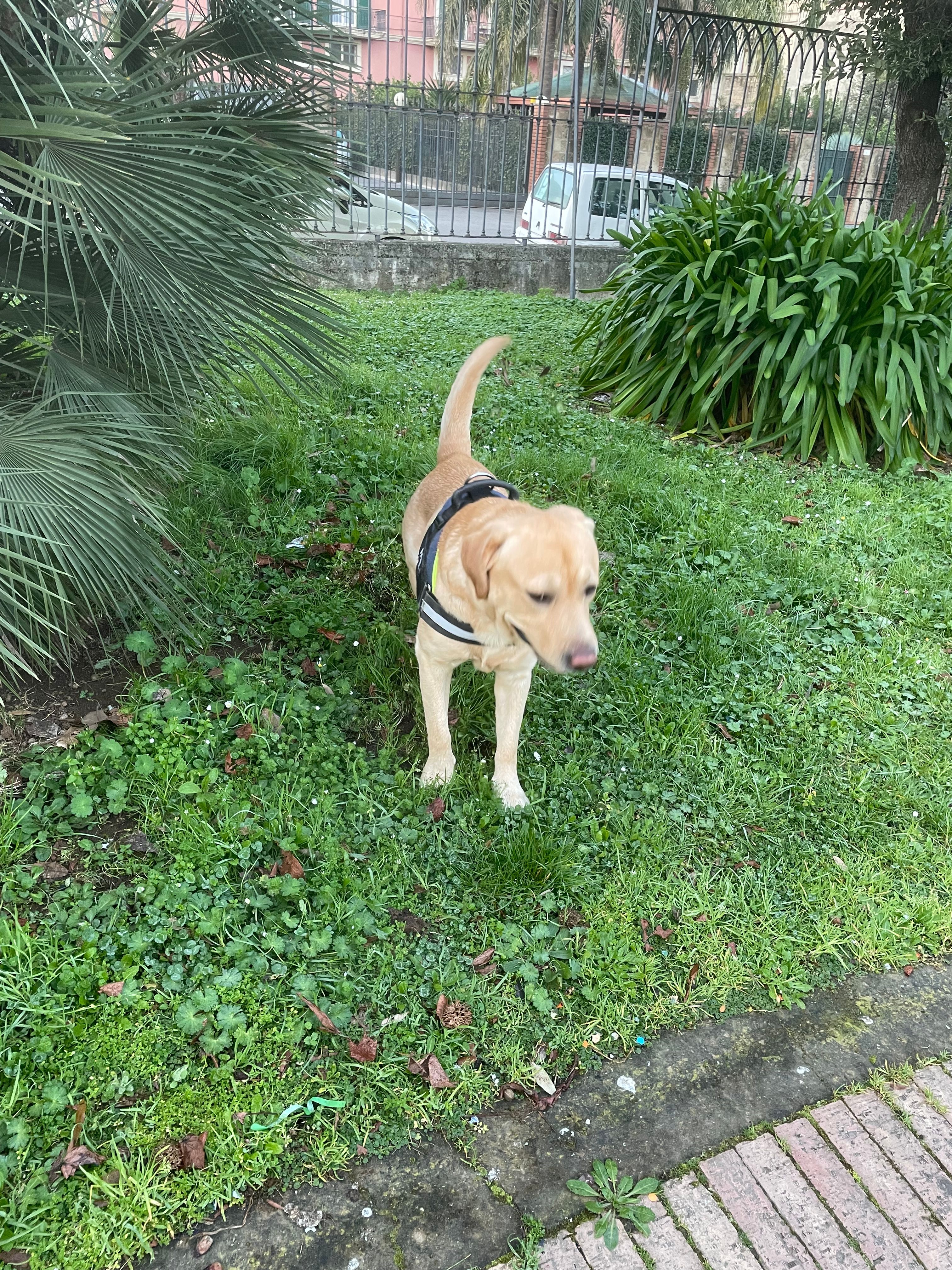 image-6
