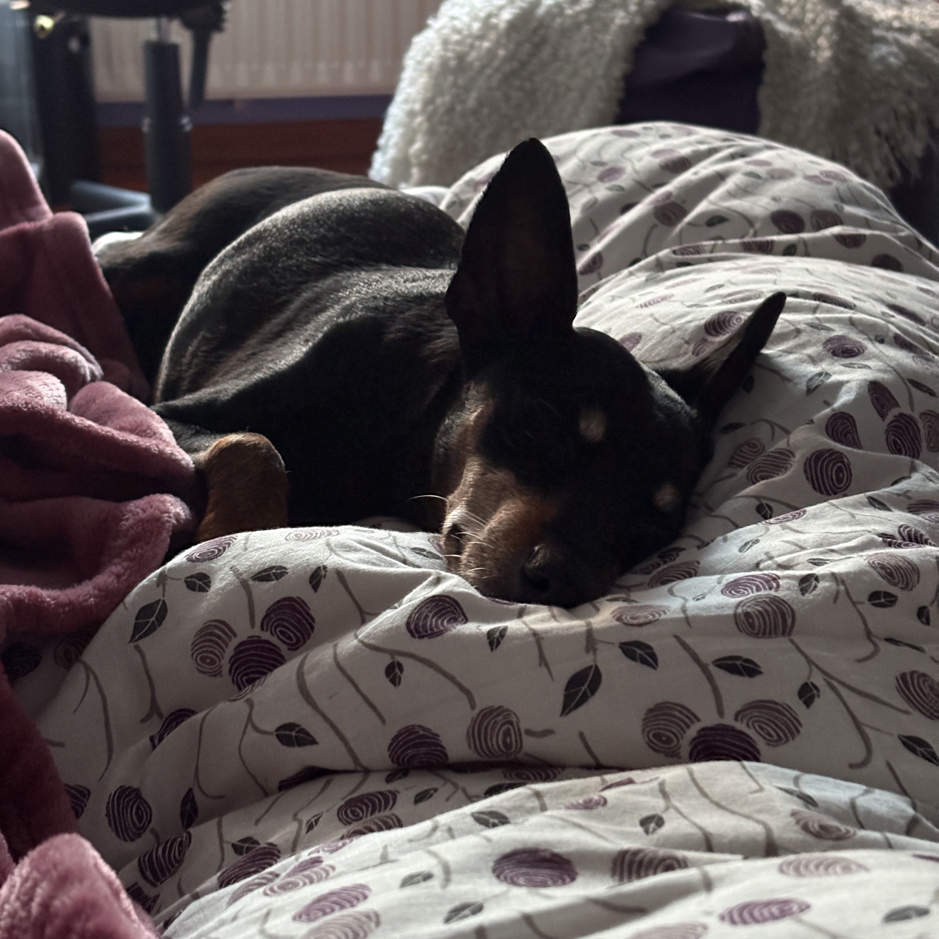 Cooper