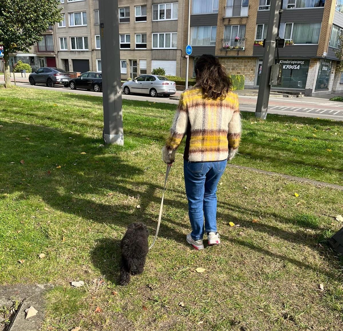 image-3