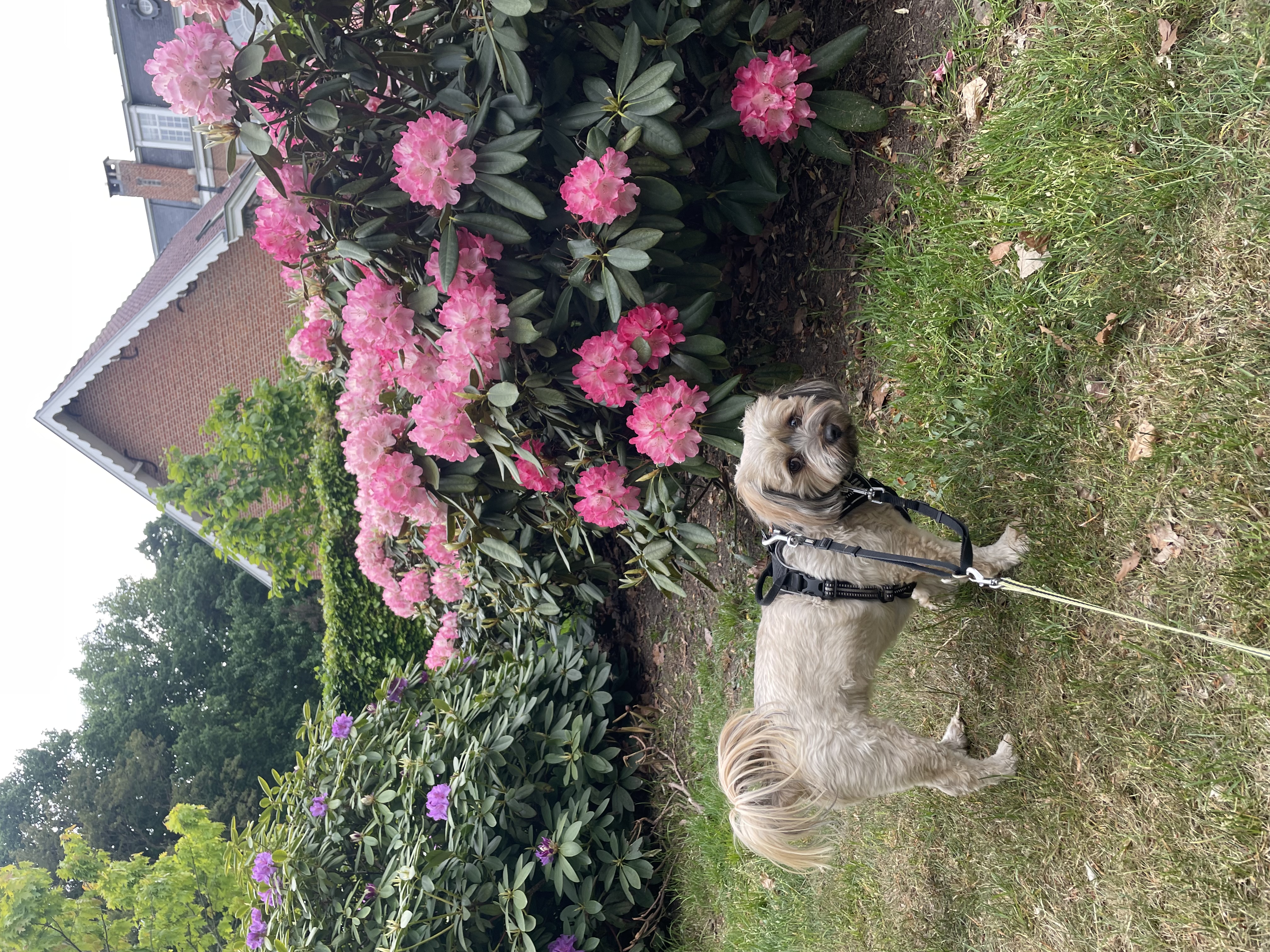 image-7