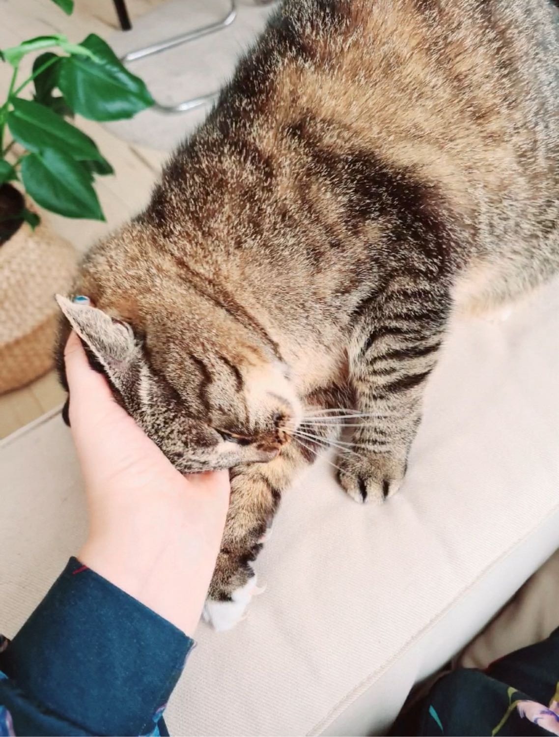 image-9