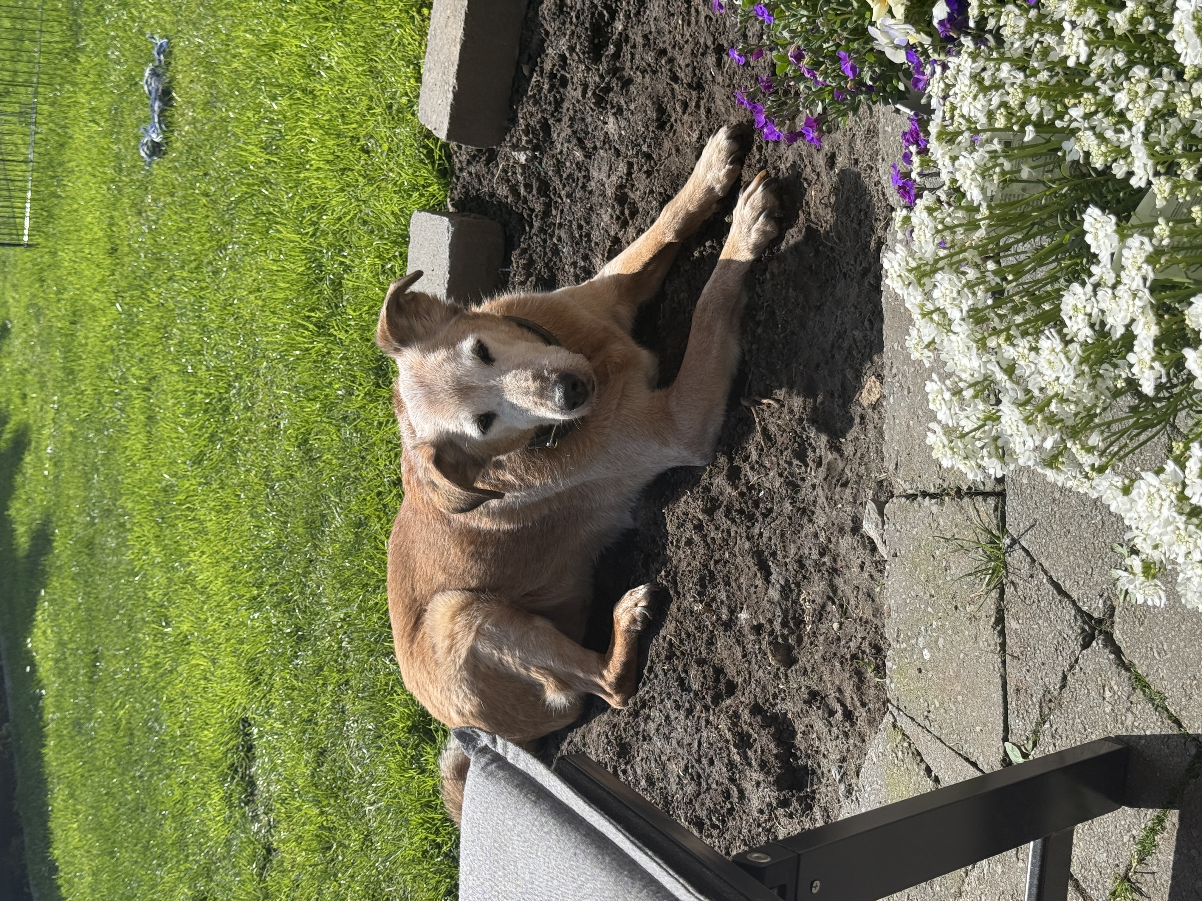 image-12
