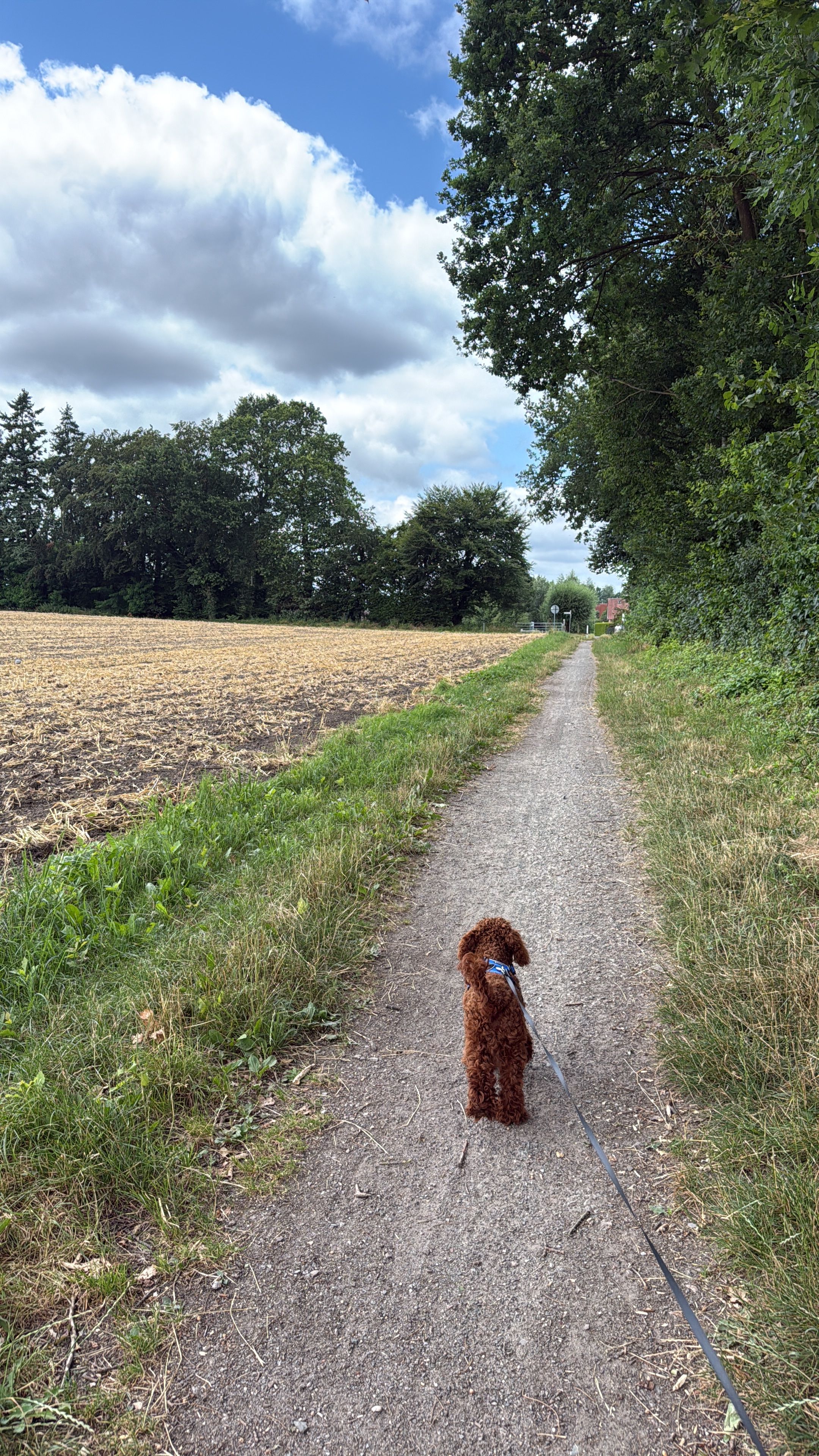 image-28