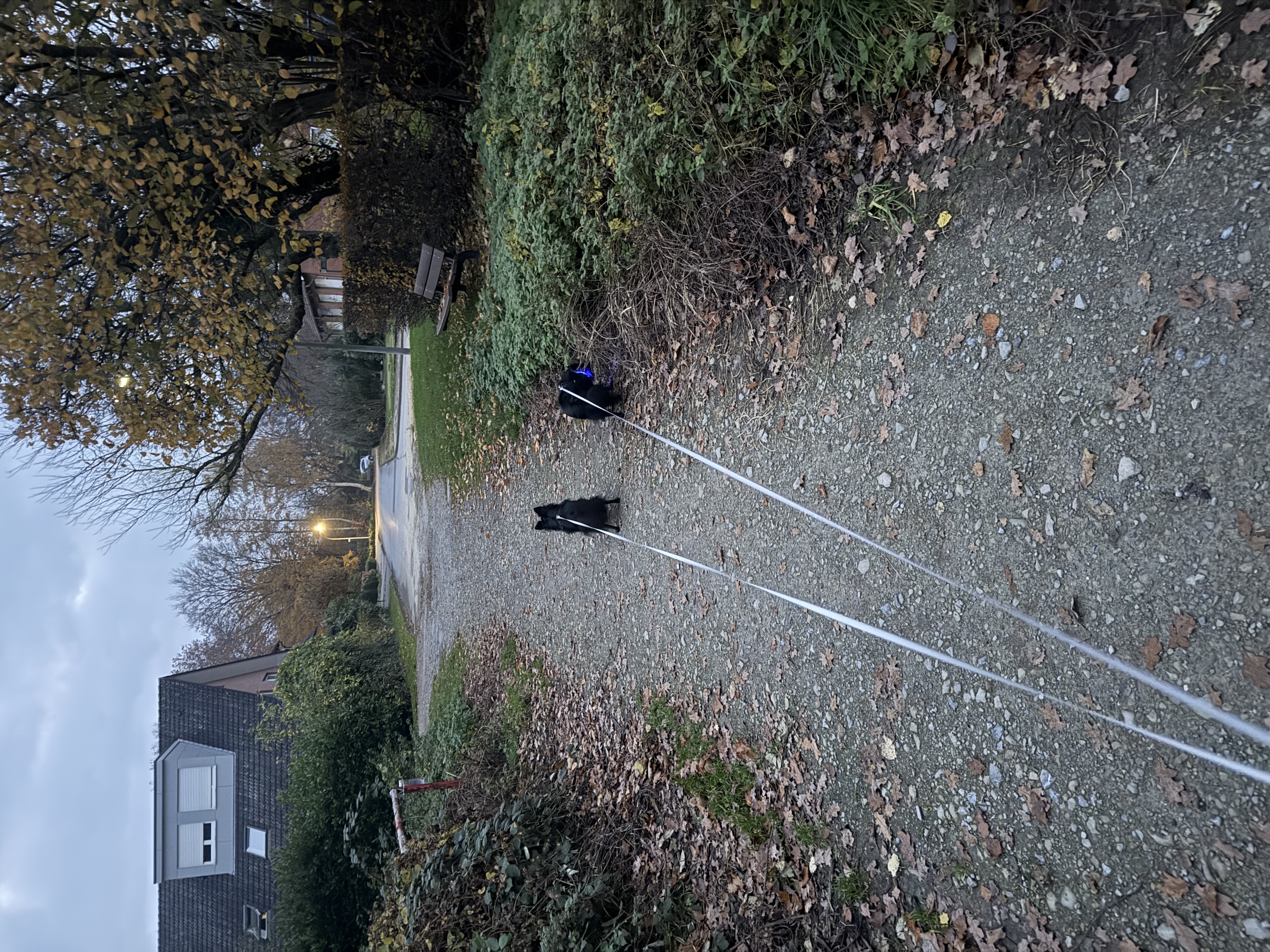 image-20