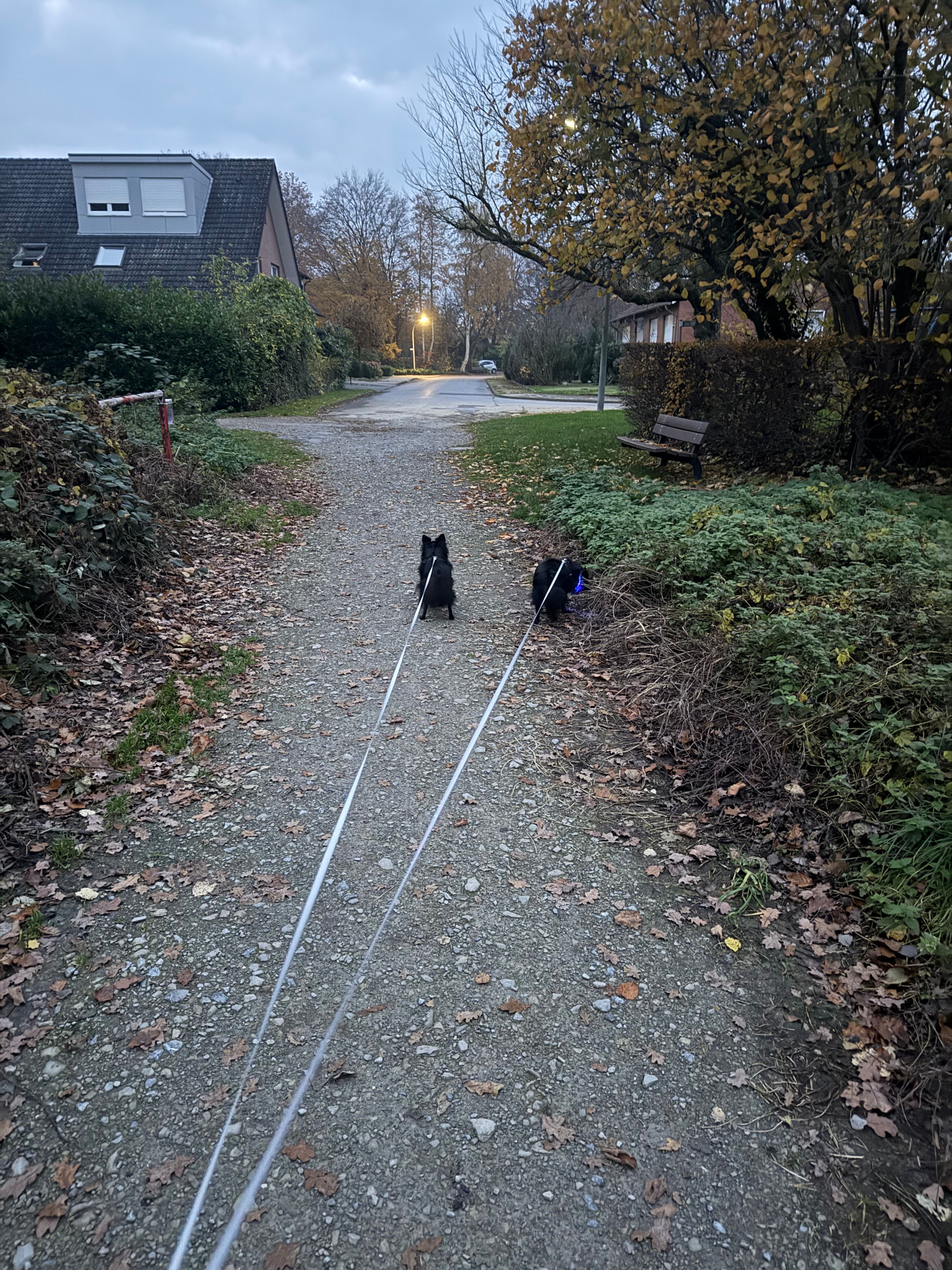 image-20
