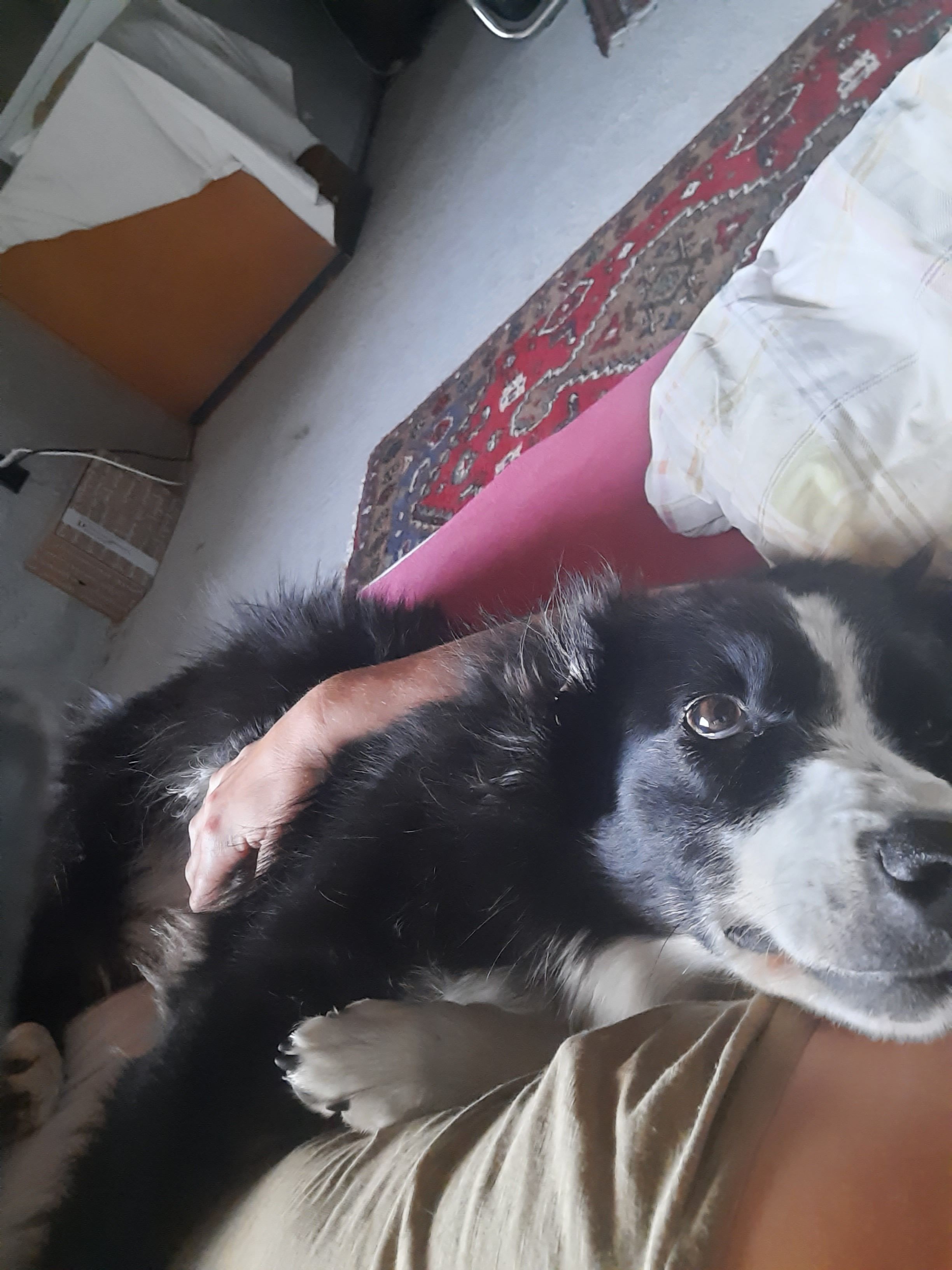 image-9