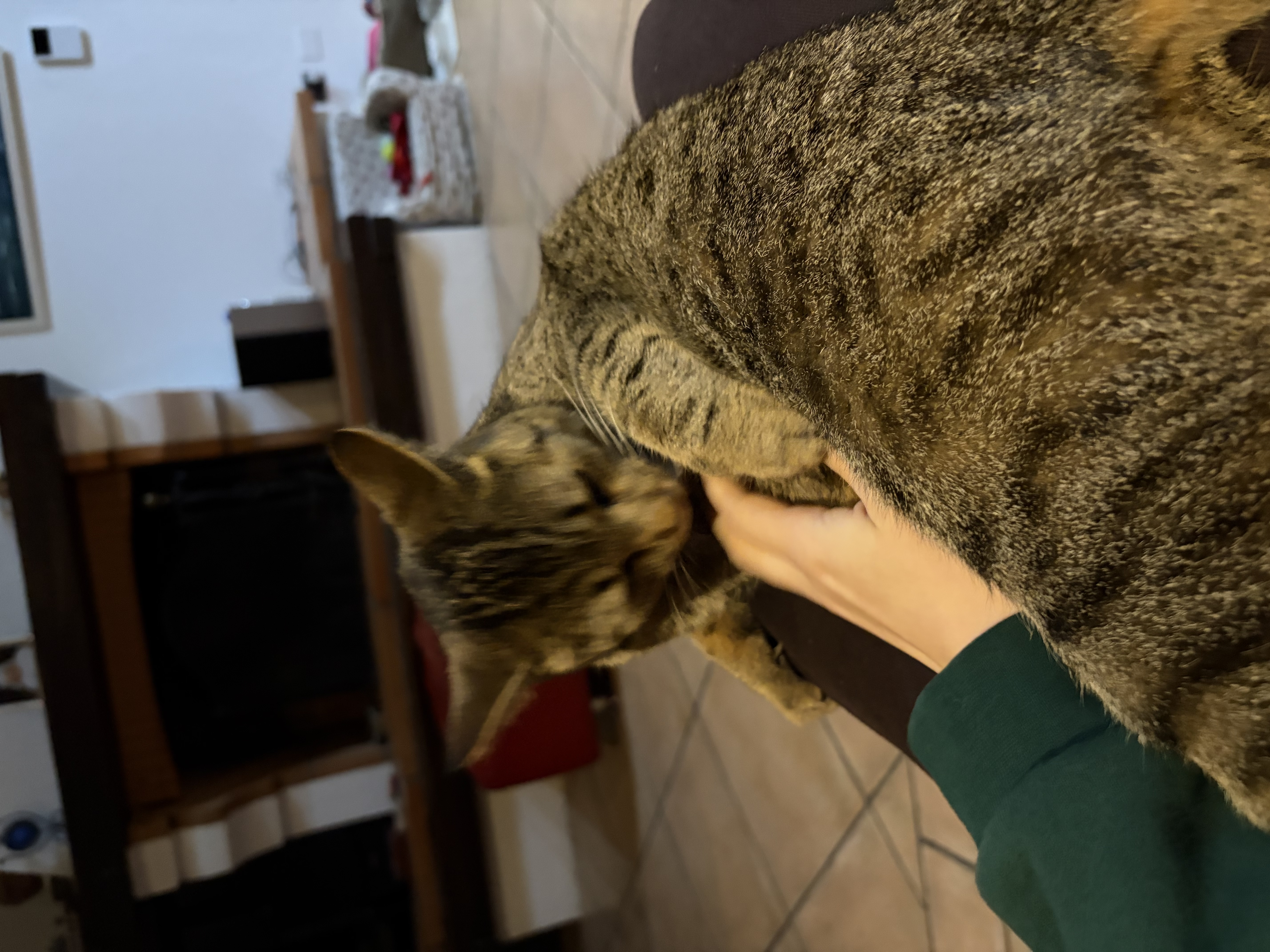 image-7