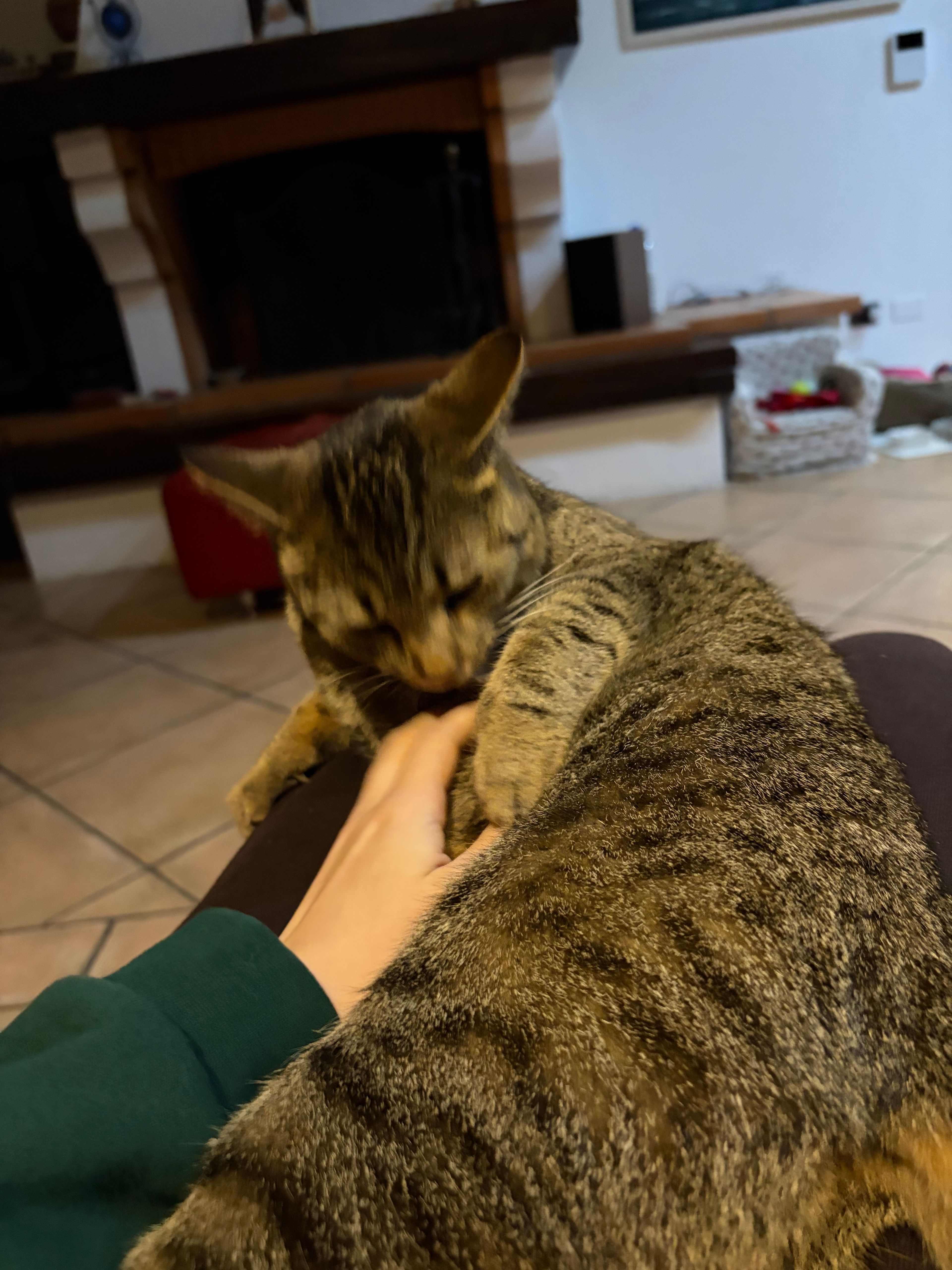 image-7