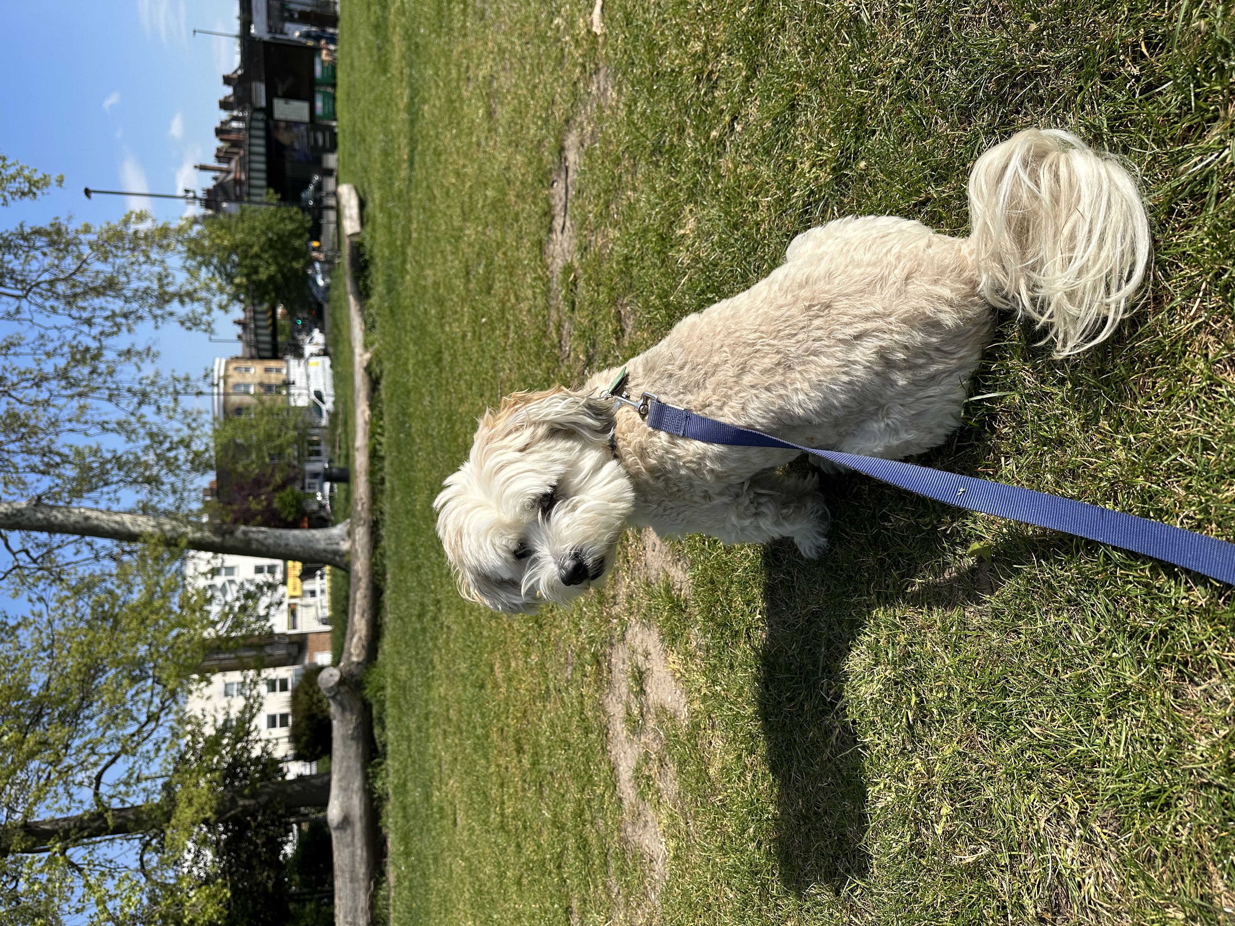 image-13