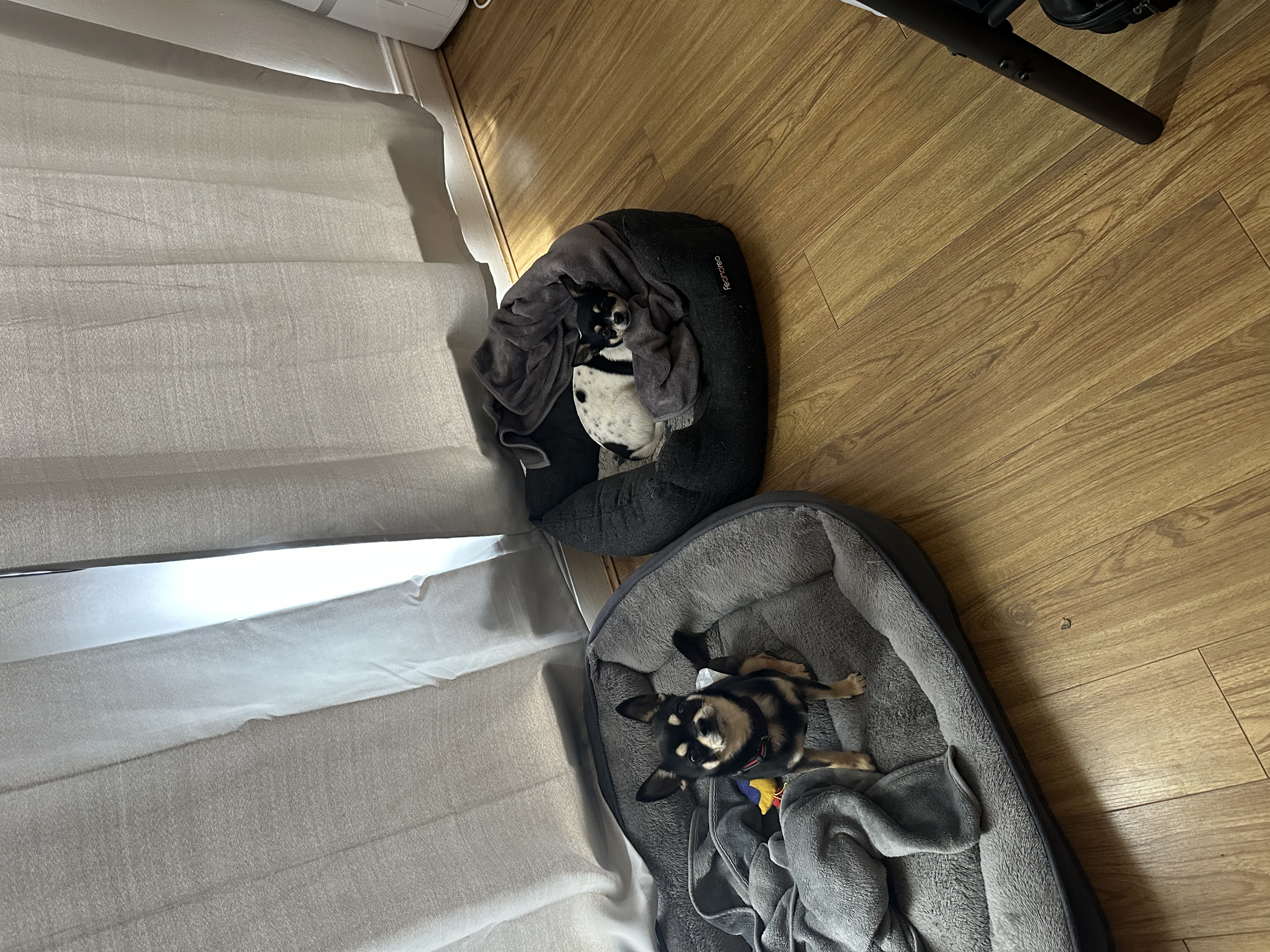 image-15