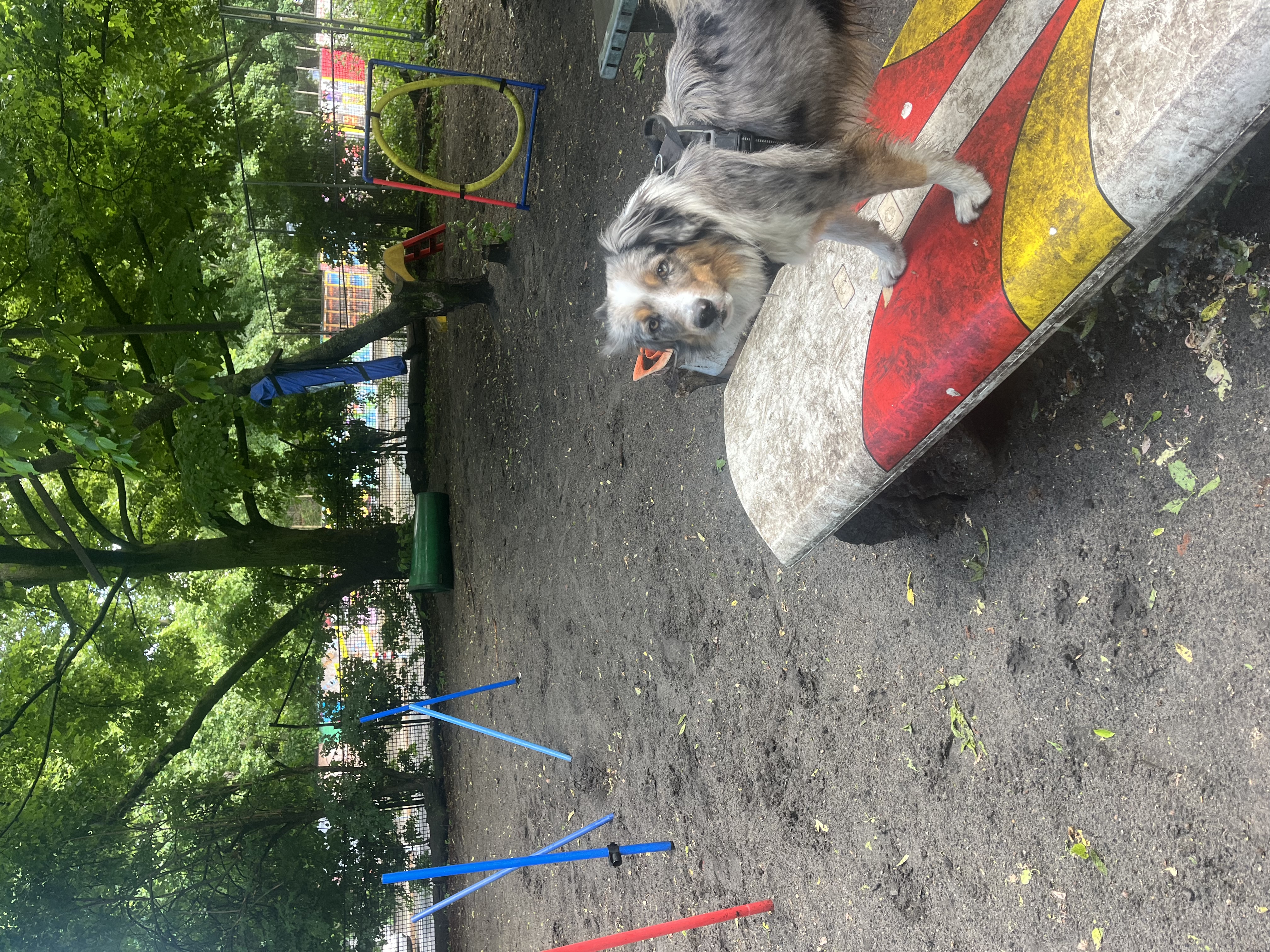 image-11