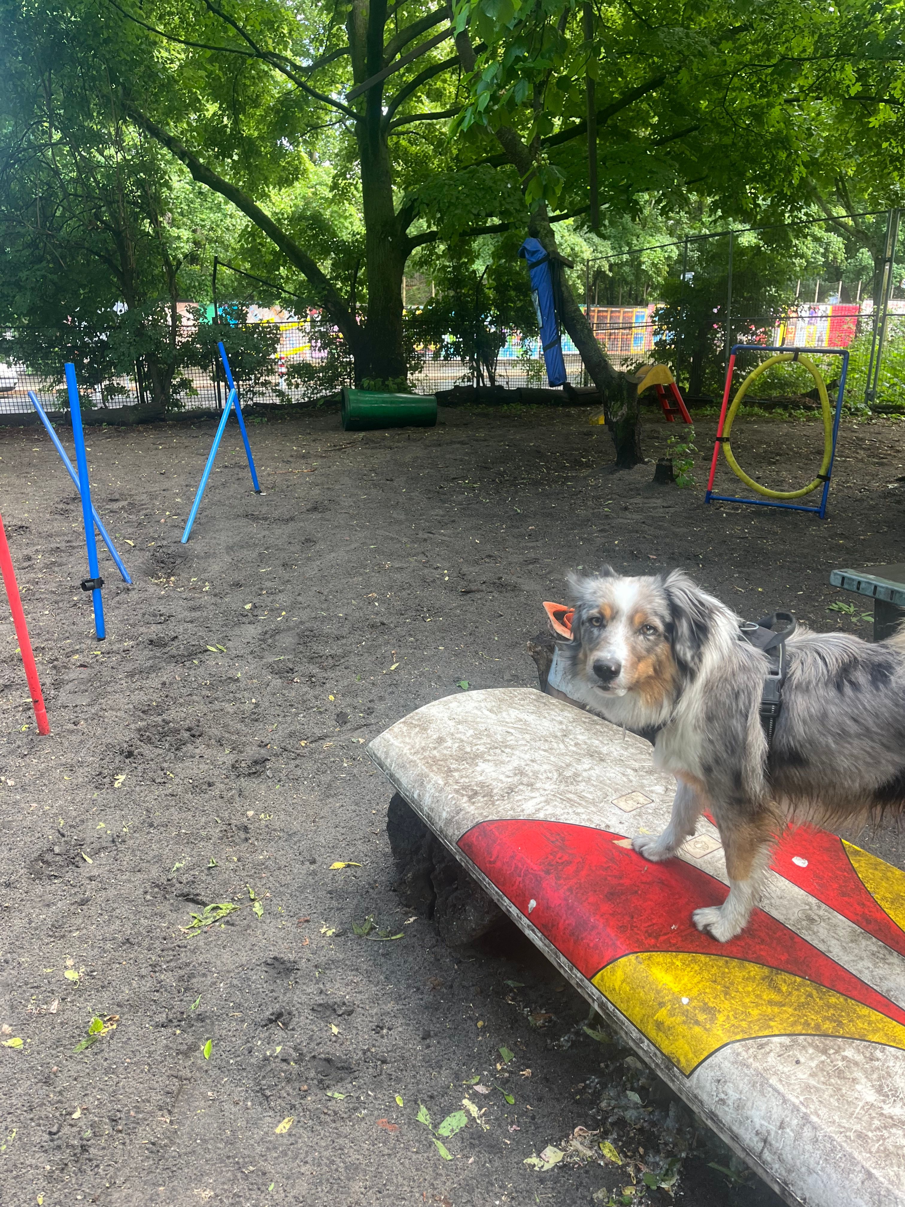 image-11