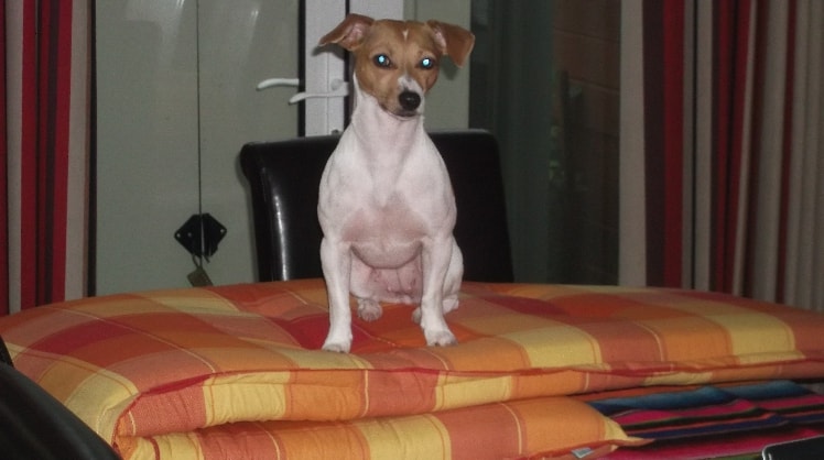 image-9