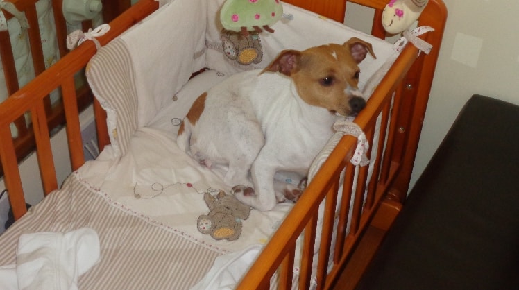 image-5